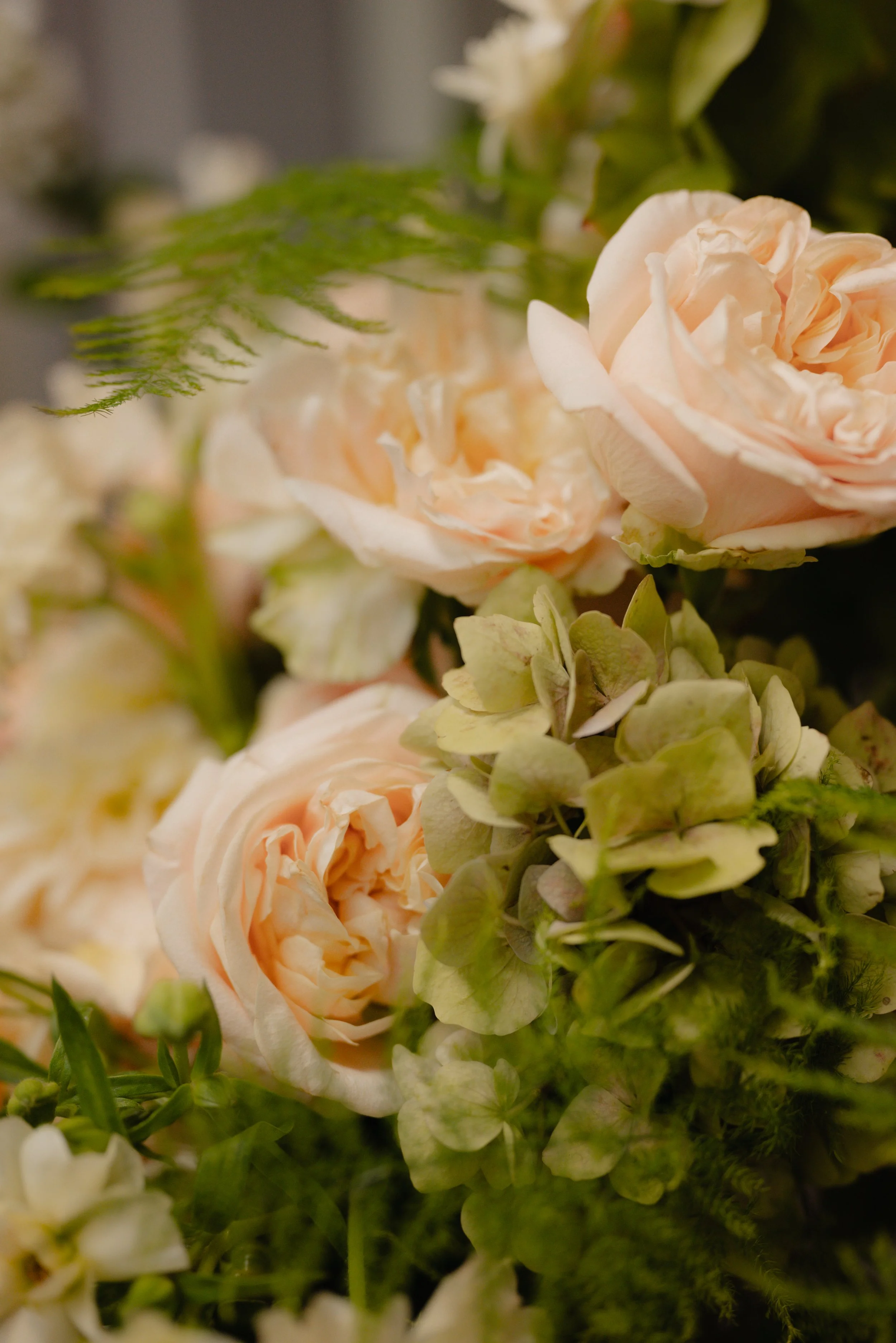 Elisabeth & Ryan-407.jpg