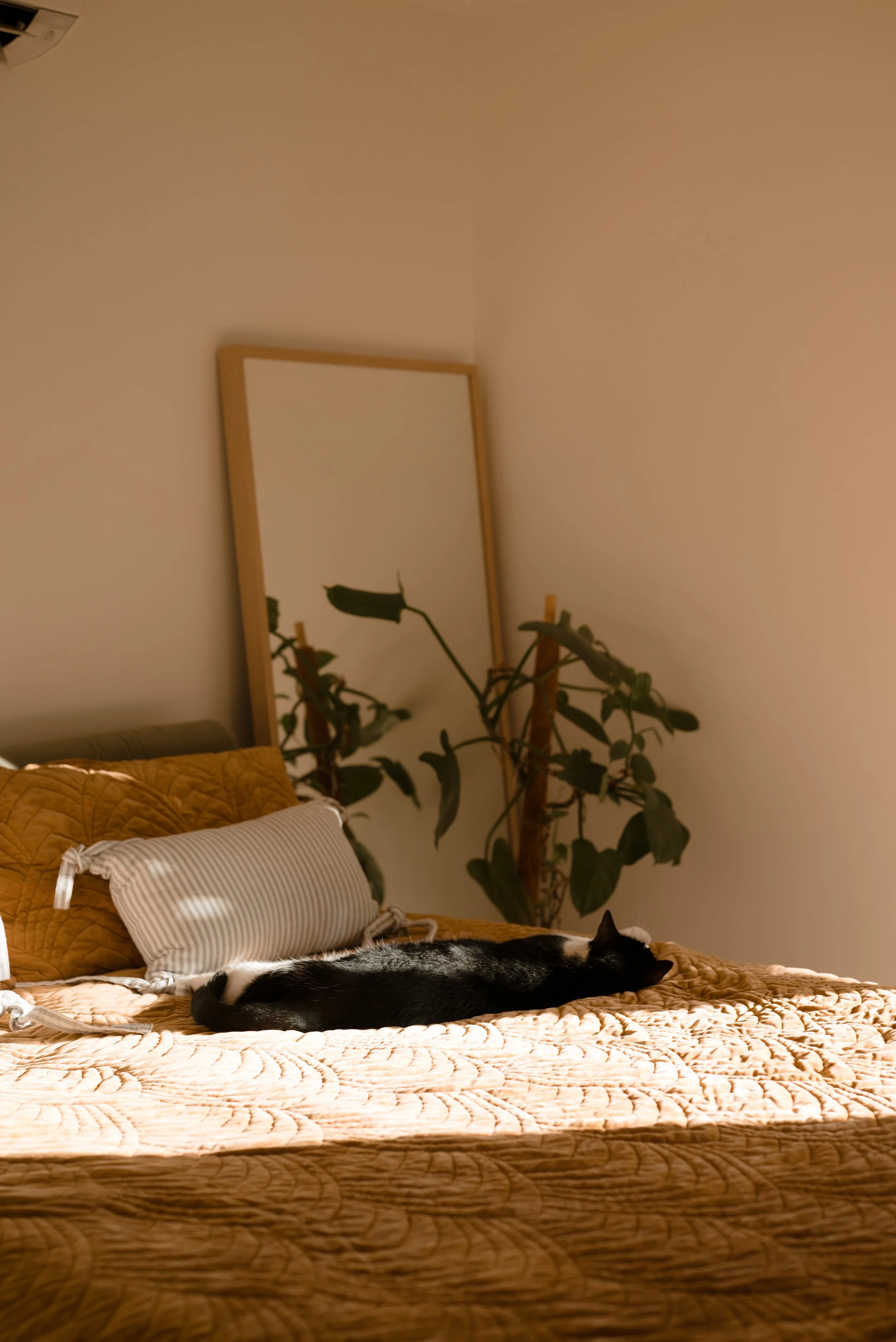 6 Bingarra Close-84.jpg