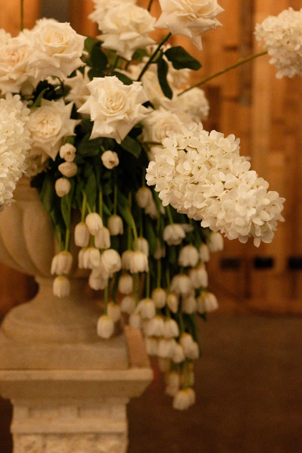 Isabelle & Caleb Wedding Social-357.jpg
