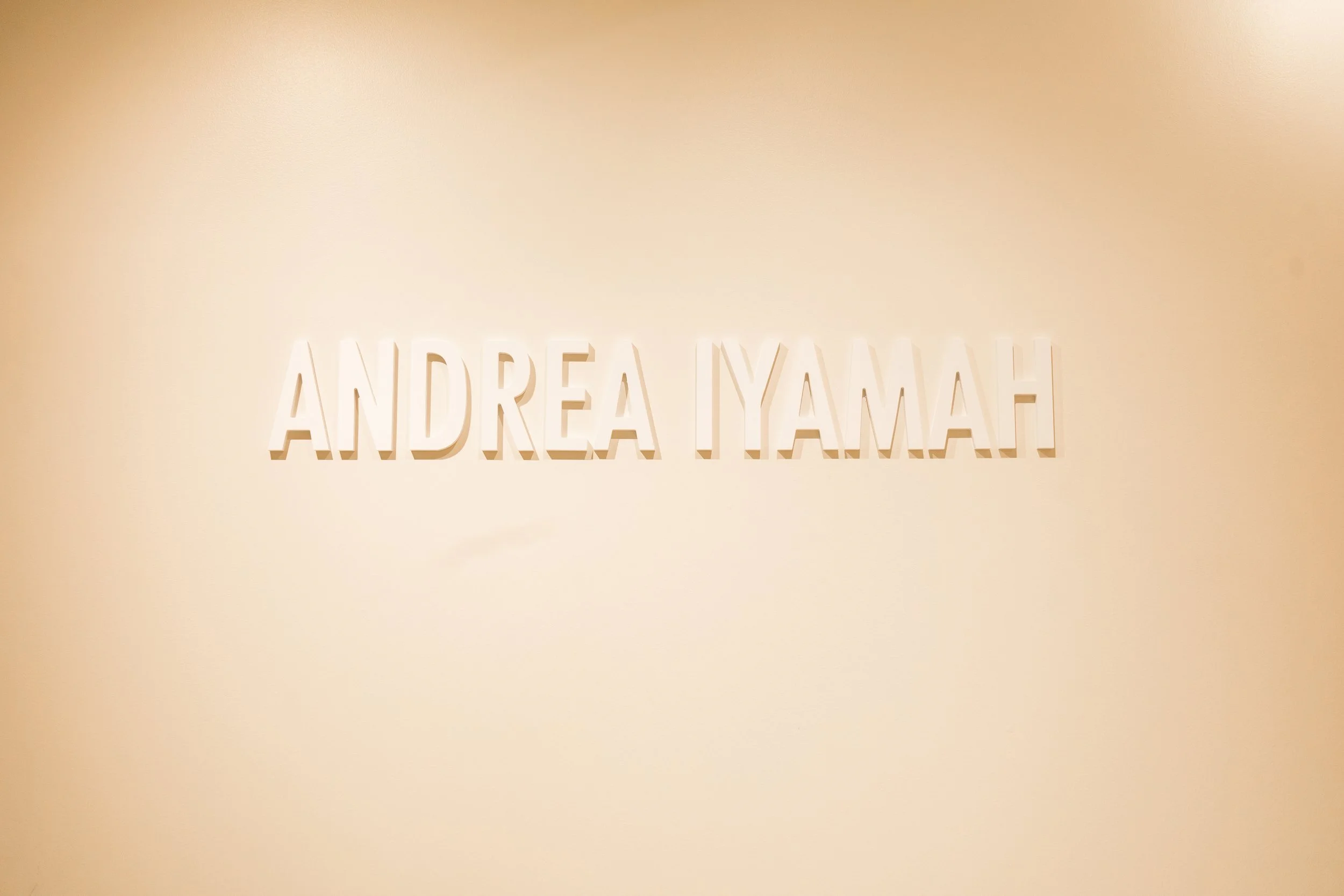 Andrea Iyamah New York Grand Opening -110.jpg