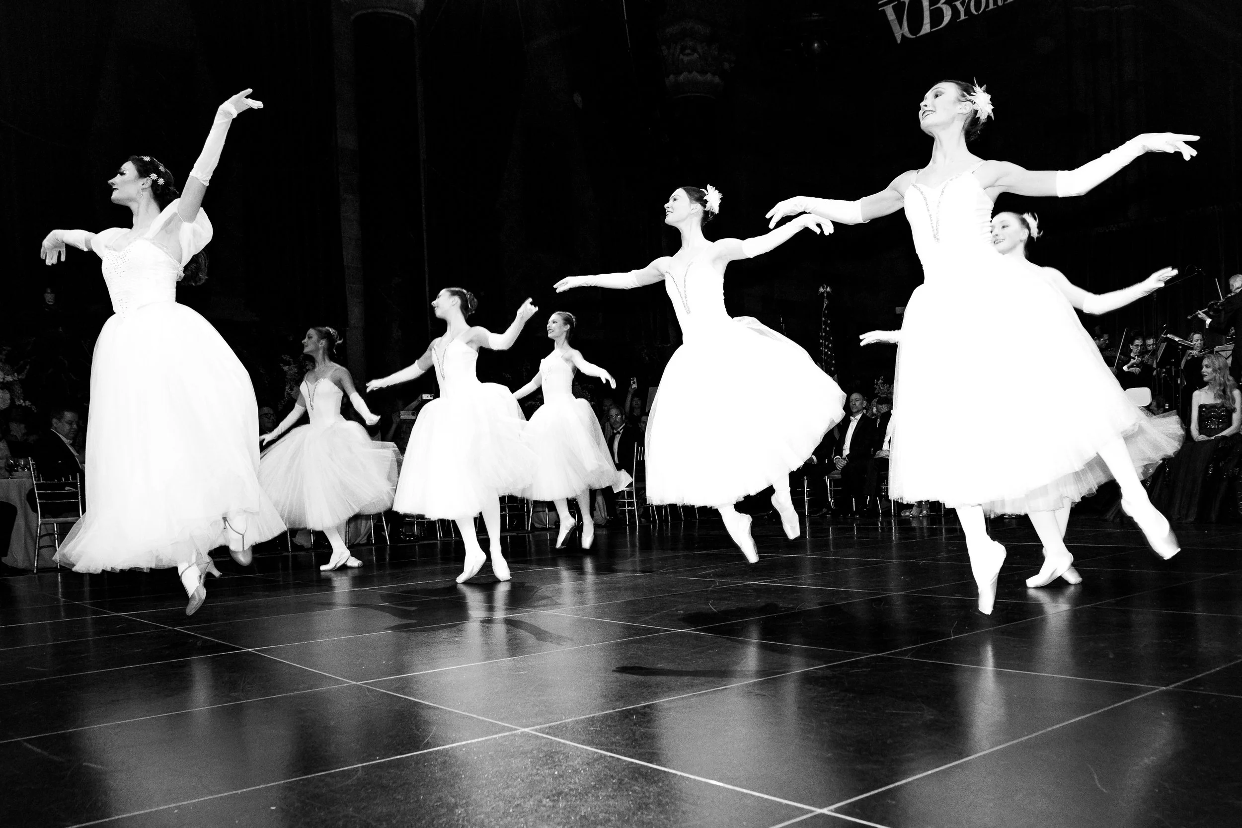 69th Annual Viennese Opera Ball in New York City