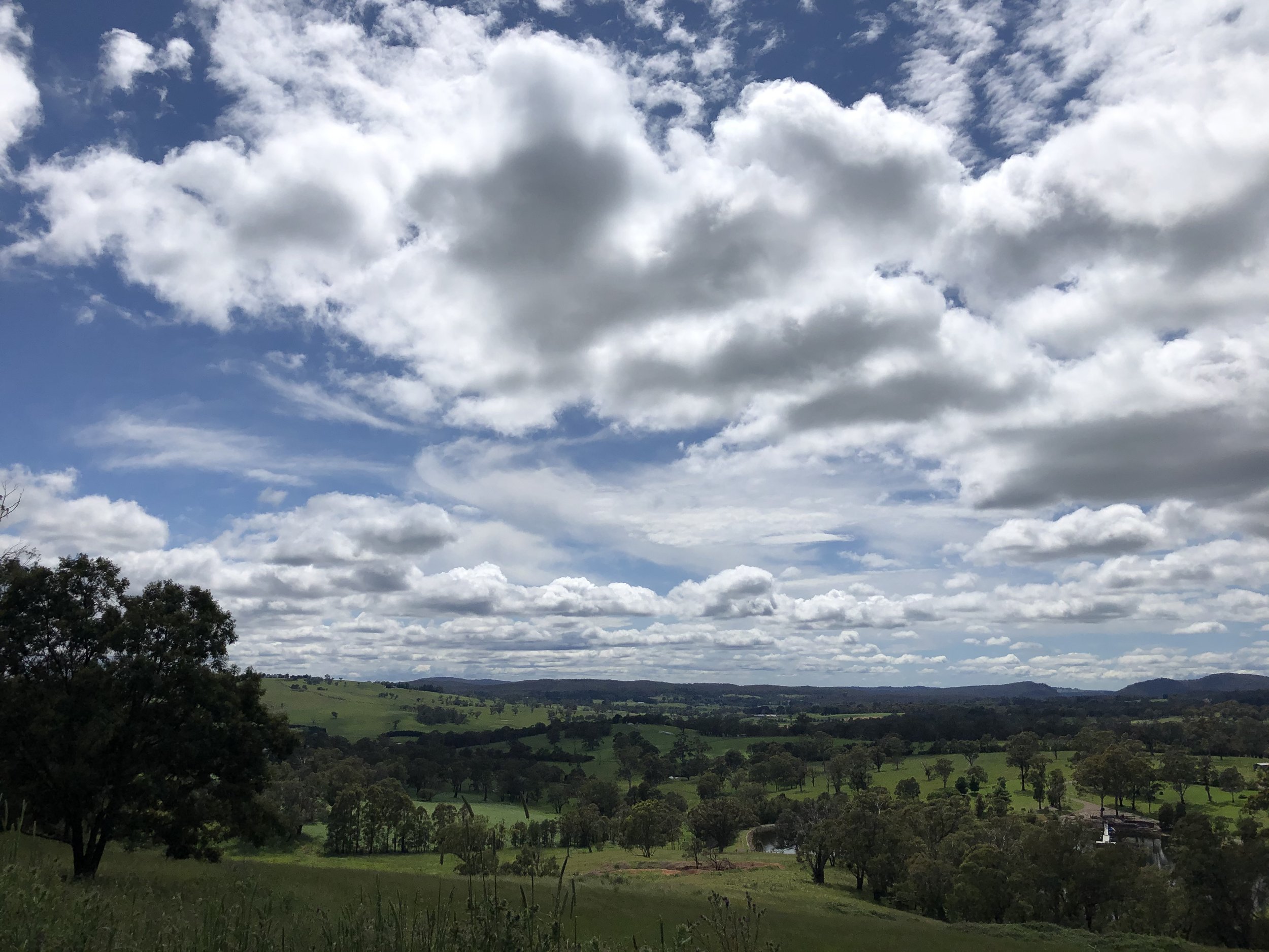 IMG_7058.jpeg