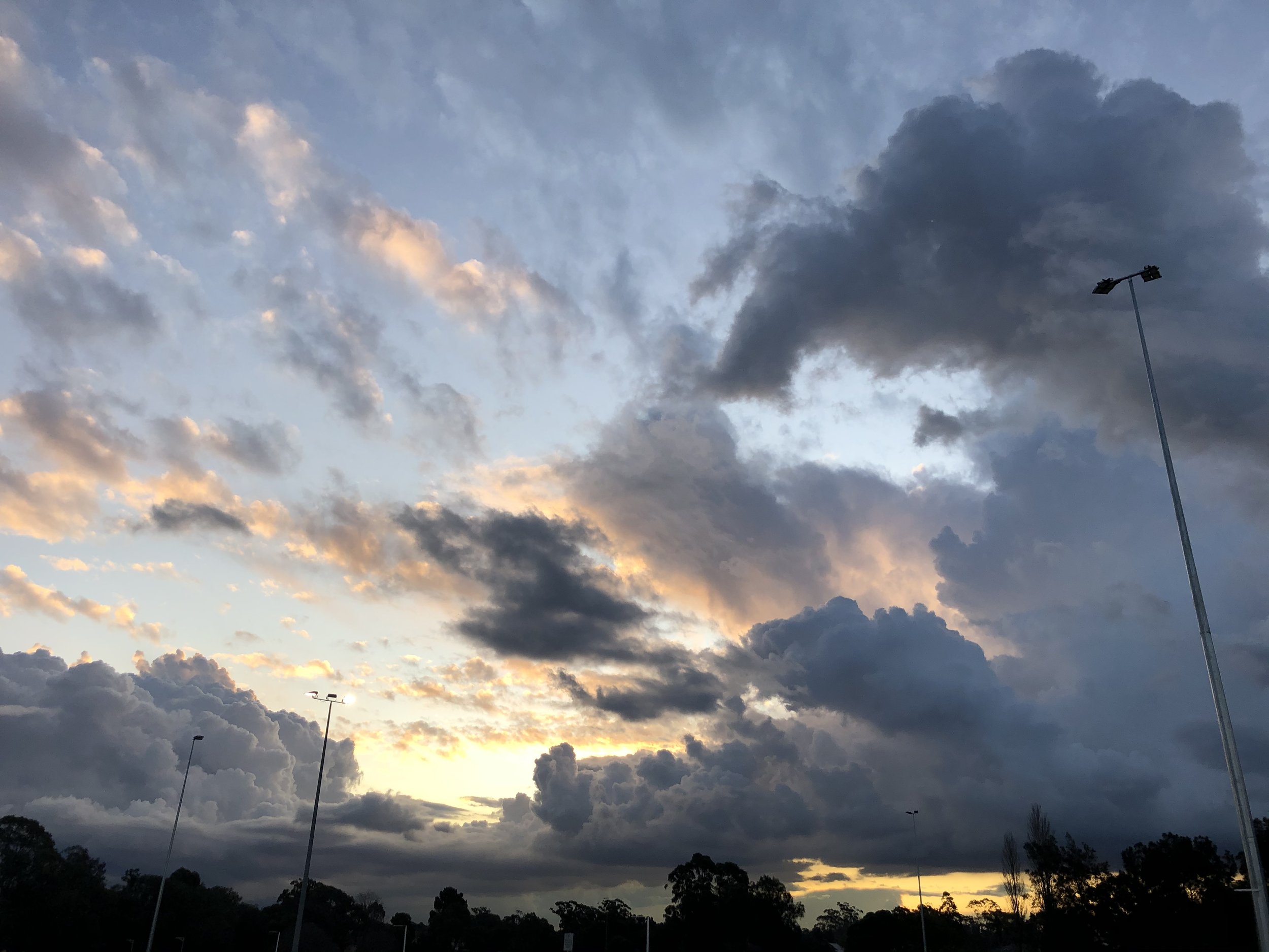 IMG_5874.jpeg