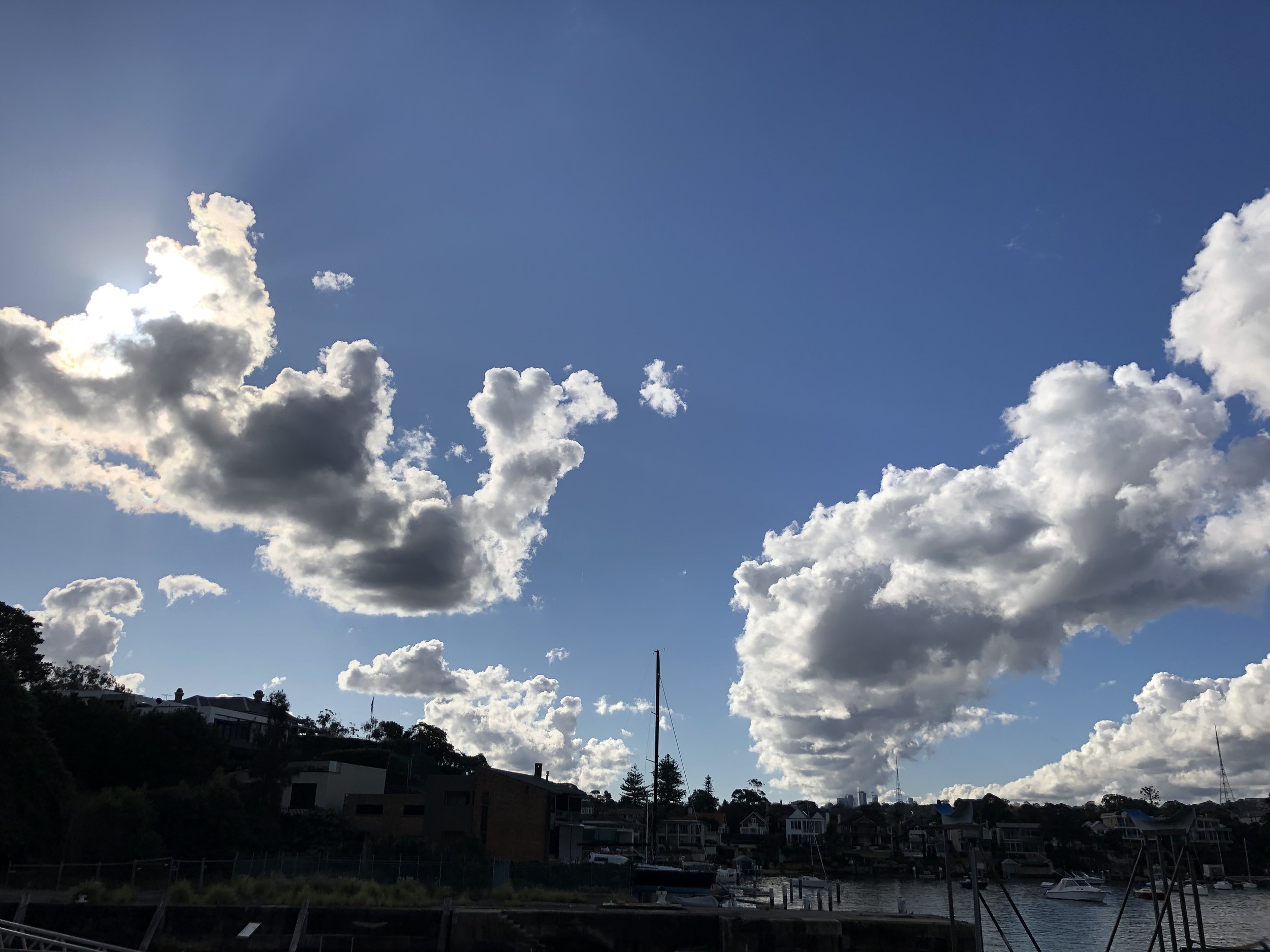 IMG_5593.jpeg