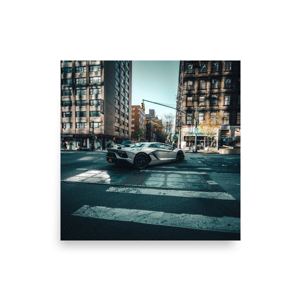 enhanced-matte-paper-poster-(in)-10x10-front-680eb3272e3d8.jpg