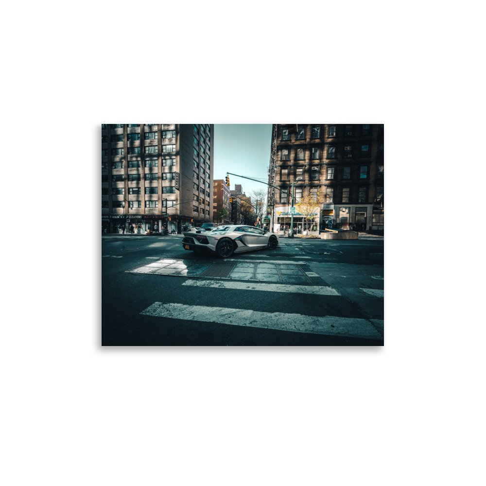 enhanced-matte-paper-poster-(in)-11x14-front-680eb3272e471.jpg