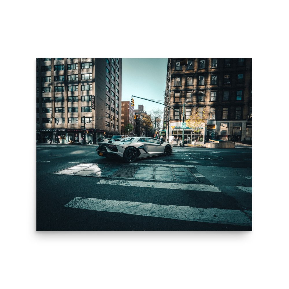 enhanced-matte-paper-poster-(in)-16x20-front-680eb3272e7da.jpg