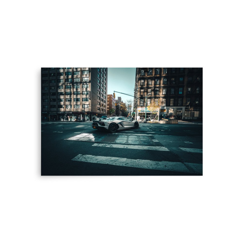 enhanced-matte-paper-poster-(in)-20x30-front-680eb3272e9d4.jpg
