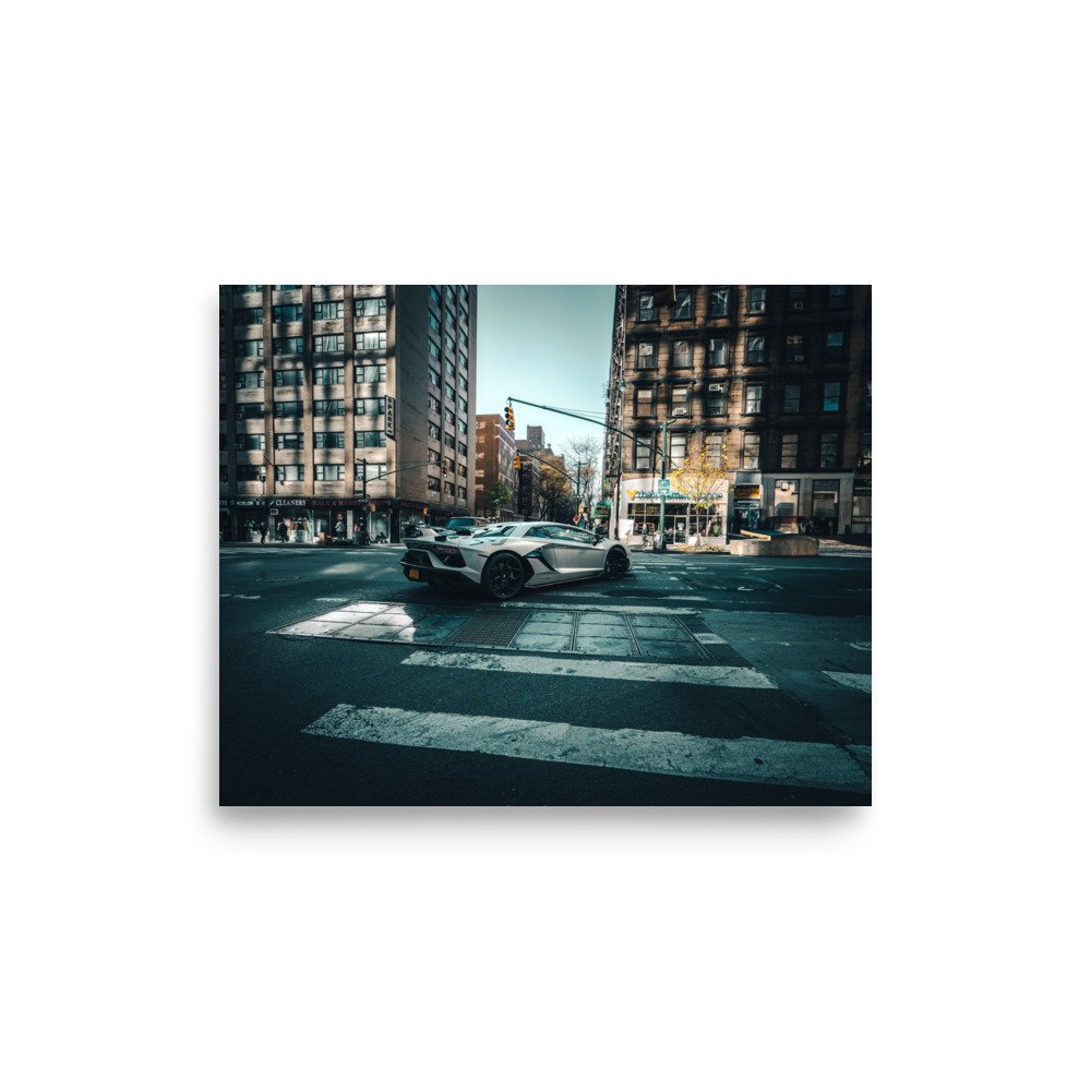 enhanced-matte-paper-poster-(in)-8x10-front-680eb3272eb4e.jpg