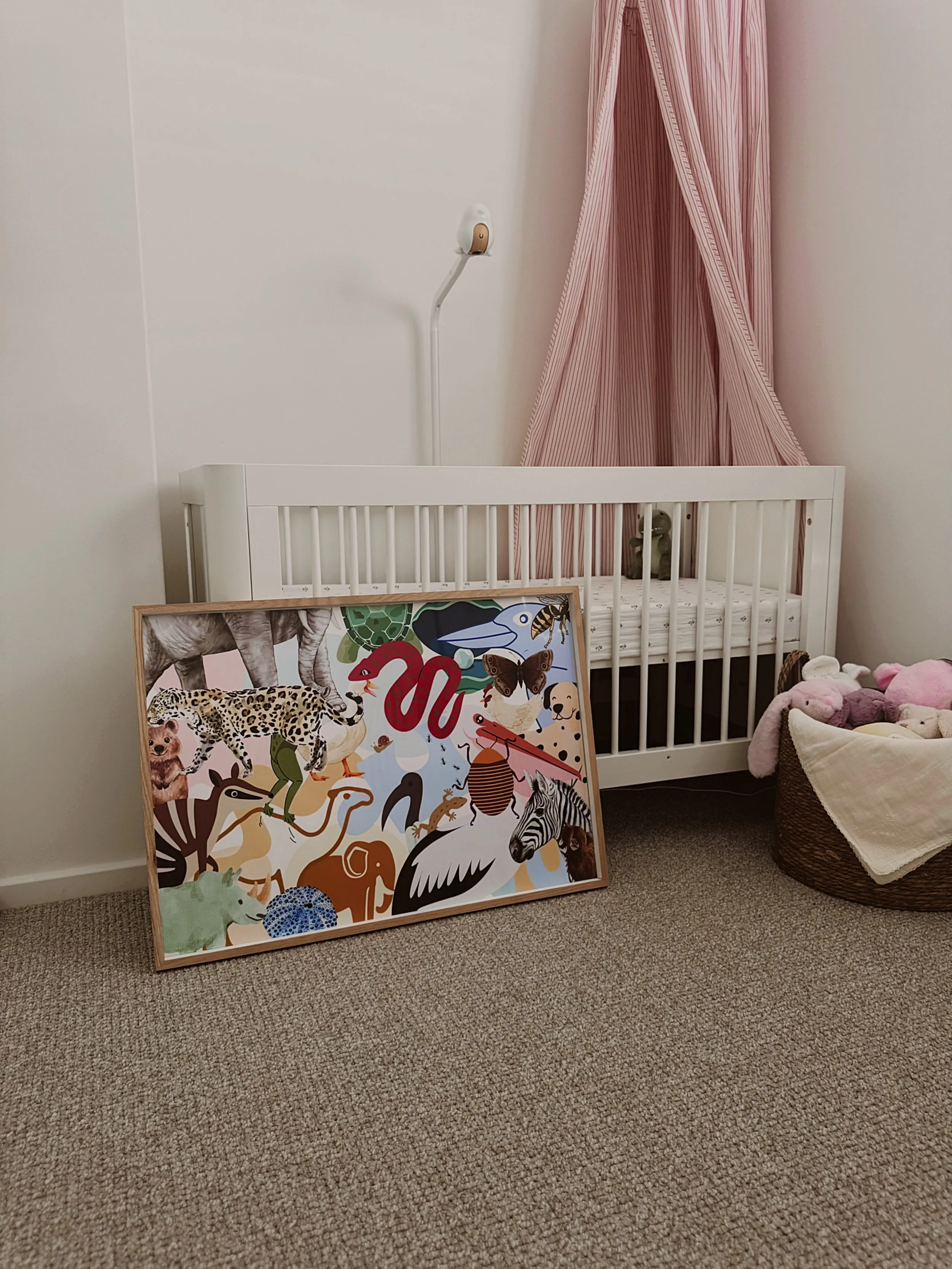 Photo 25-2-2026, 5 29 21 pm (1).jpg