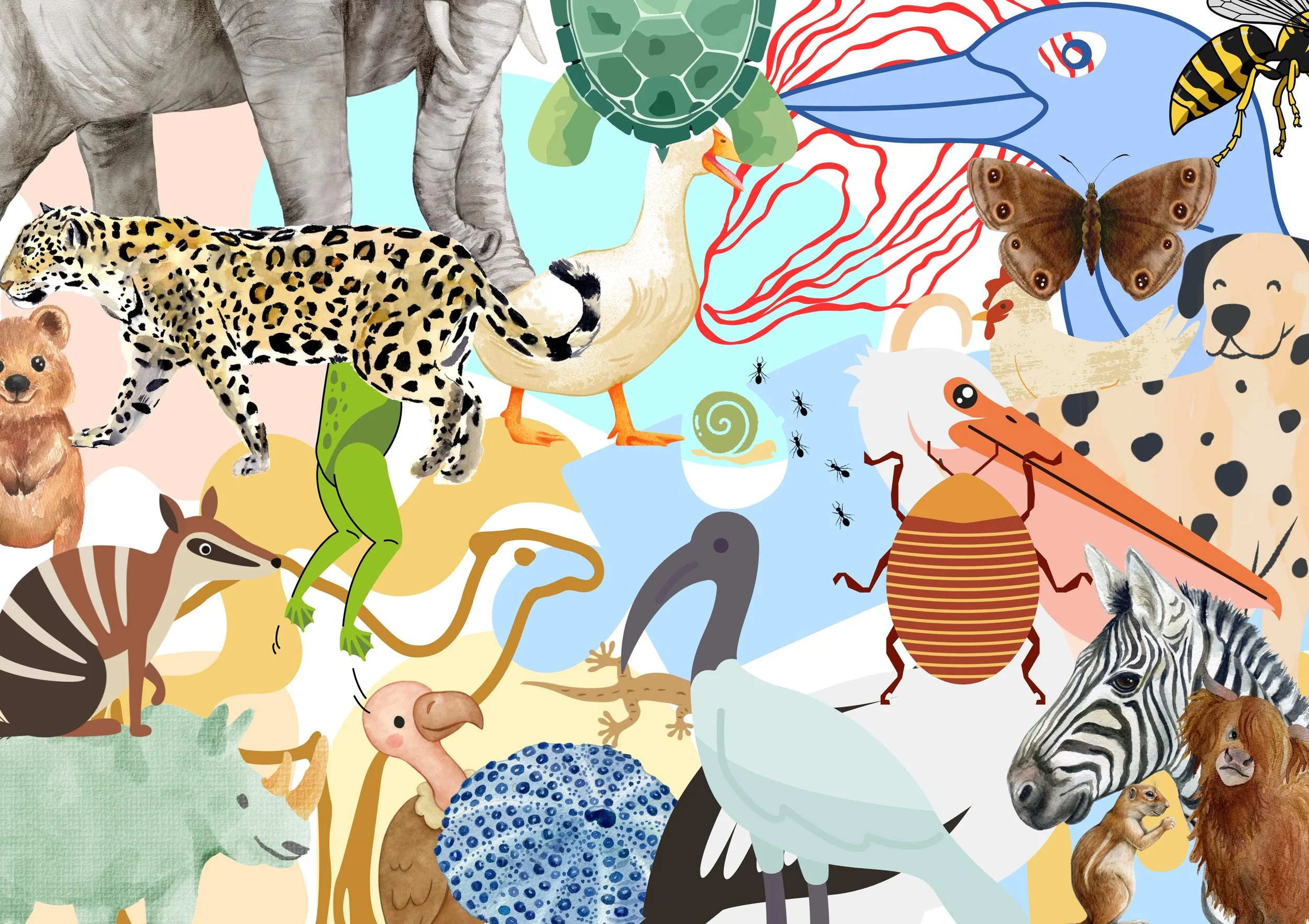 A-Z EYE SPY PRINT #2