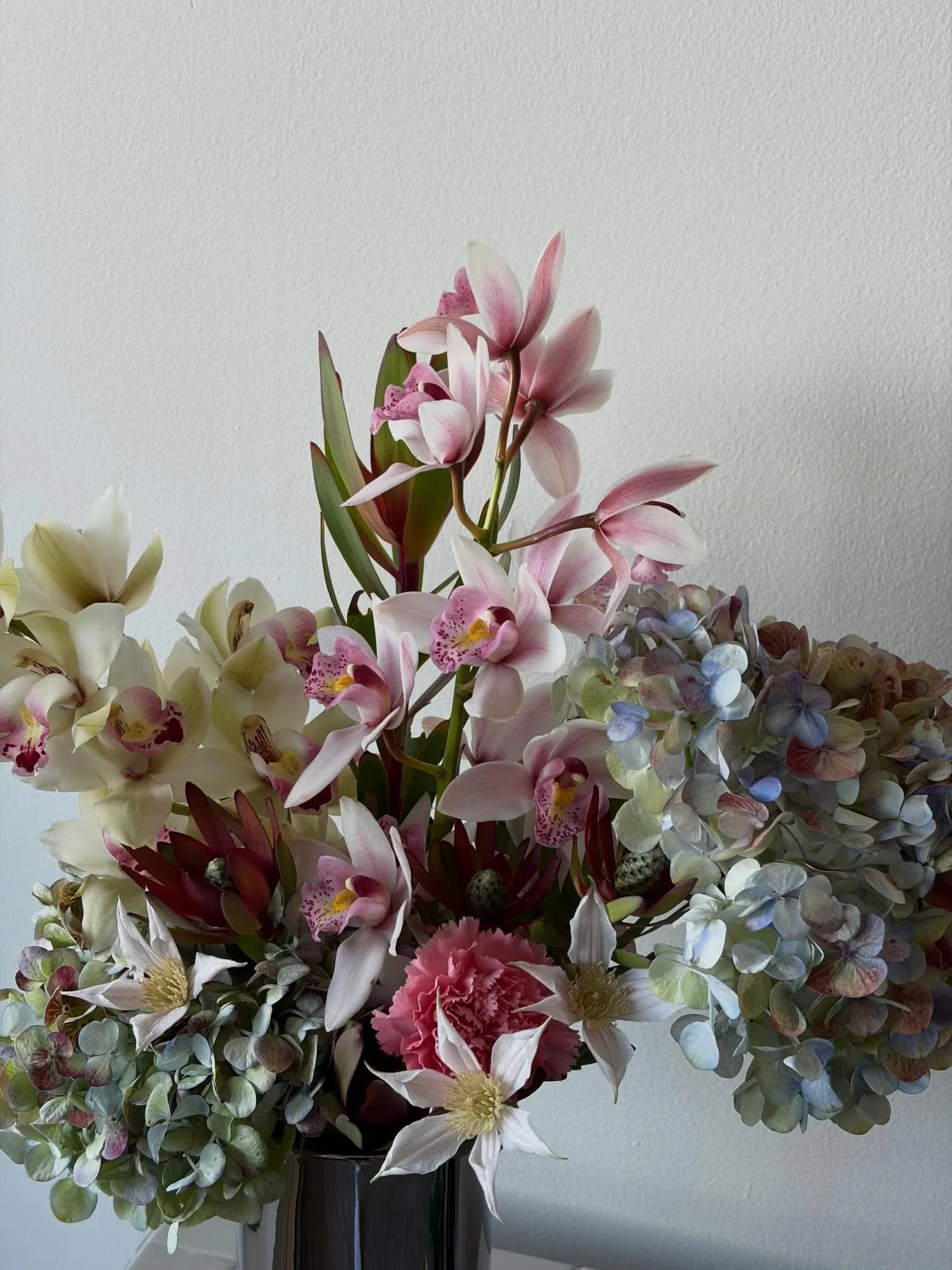 life in Van when the sun starts shining and the cherry blossoms start blooming (!!!) 💗🌸