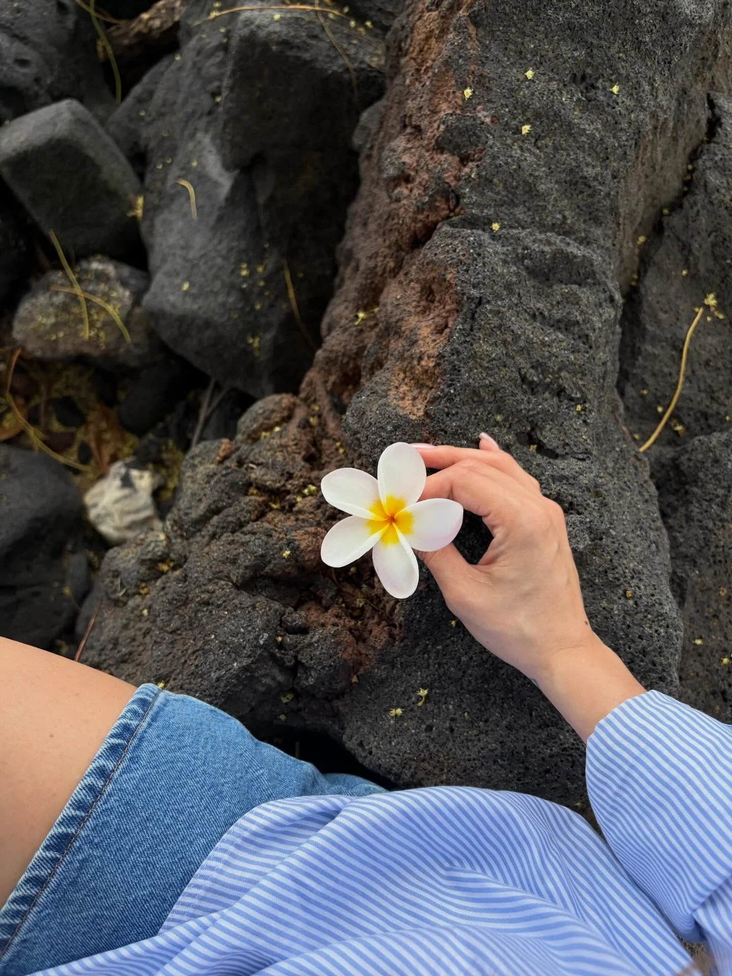 it&rsquo;s not lost on me that I live a life of continual gratitude and abundance 🌺
