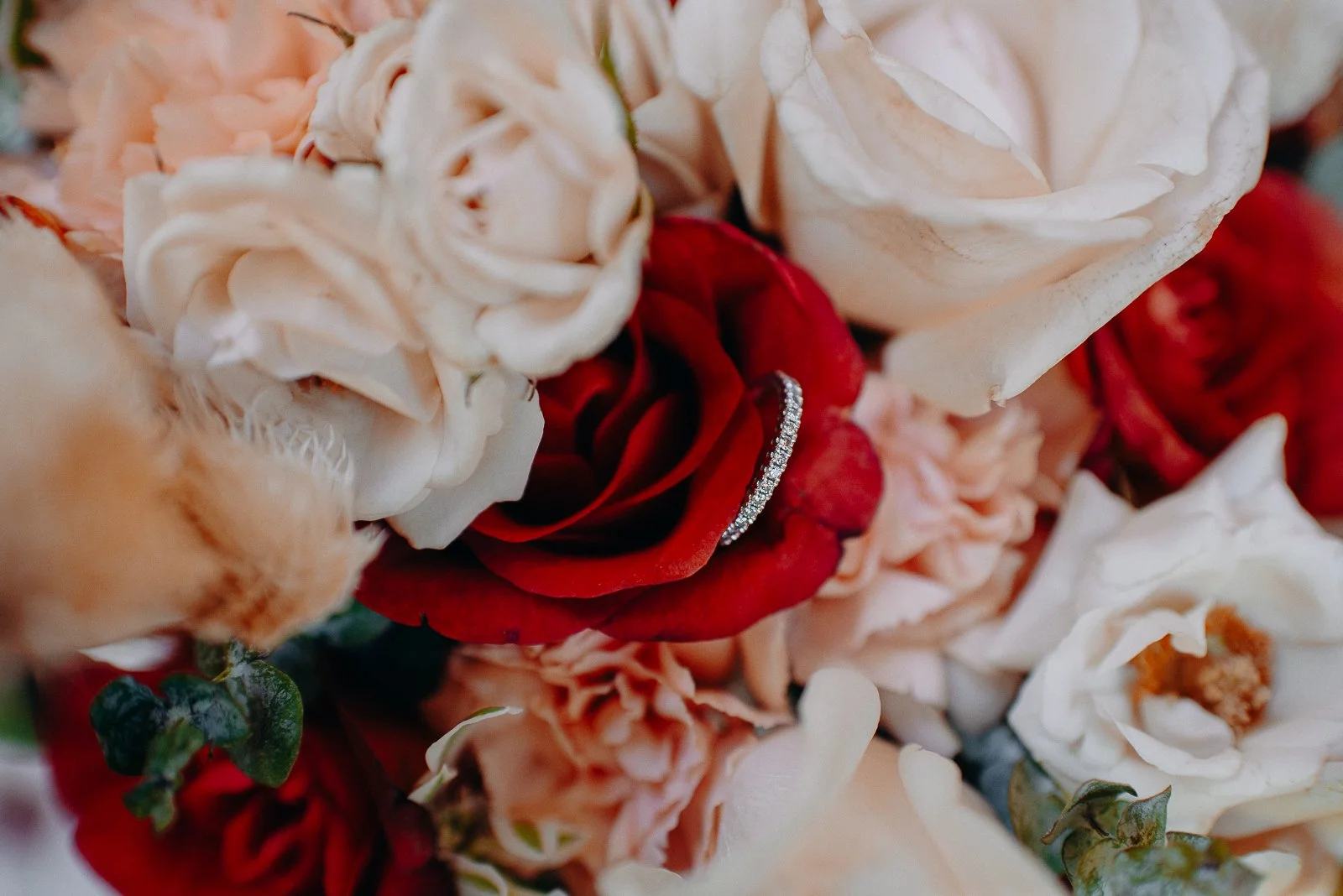 A close-up of a bouquet of roses with a diamond ring resting on a deep red rose among light-colored roses.