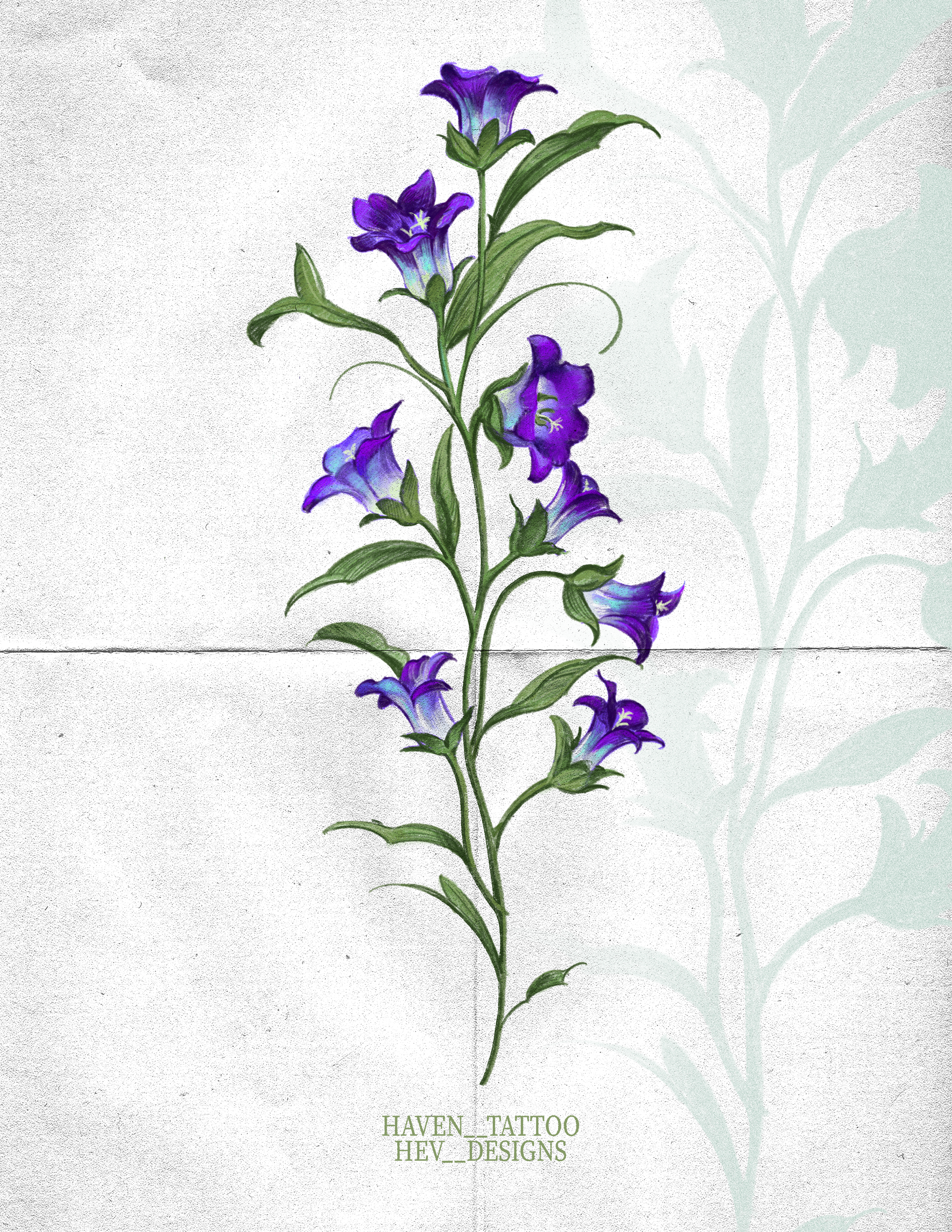 A drawing of a flowering plant with purple and blue trumpet-shaped flowers and green leaves, labeled 'HAVEN TATTOO HEV_DESIGNS' at the bottom.