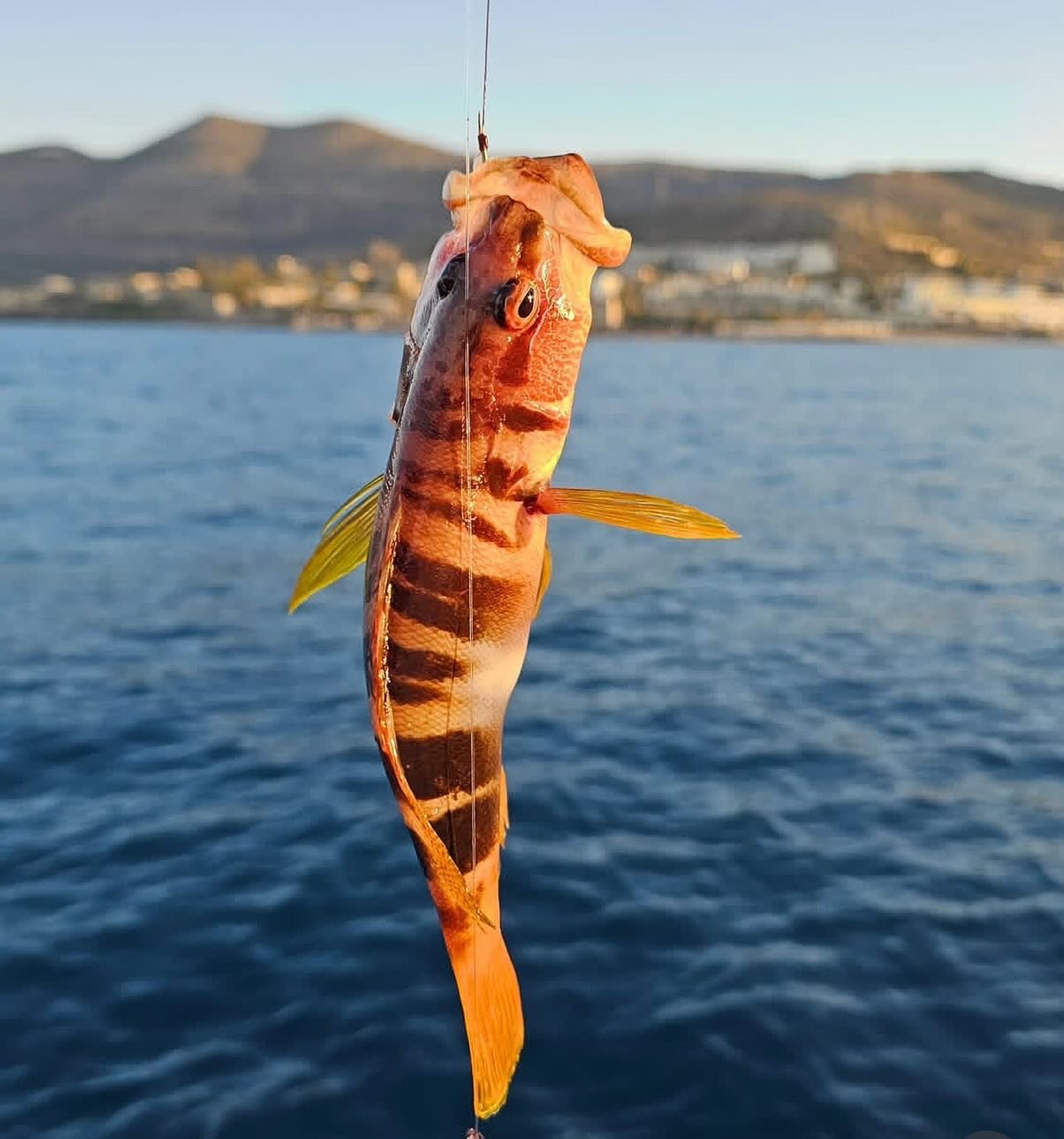 Fishing anyone? 🐠 You name the activity. We can make it happen! 📩 Message us for availability to charter Athen.a with friends/family for the vacation of a lifetime. 🎉 Only 2 weeks remaining for the season. ⏱️ _____________________________________