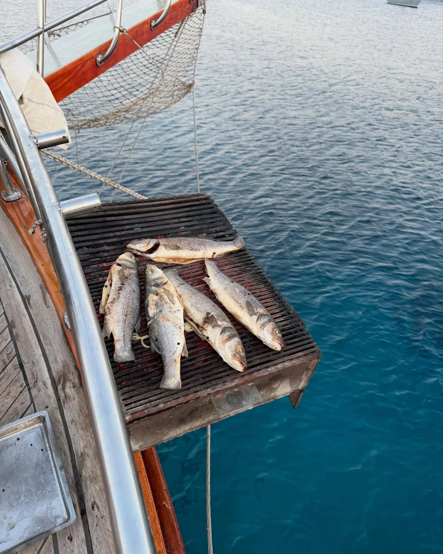 Out with farm-to-table and in with boat-to-grill! ______________________________________________ 📸: @kenhervik #freshcatch #grilling #grilledfish #catchoftheday #yachtlife #fishing #boatfood #yummy #fish