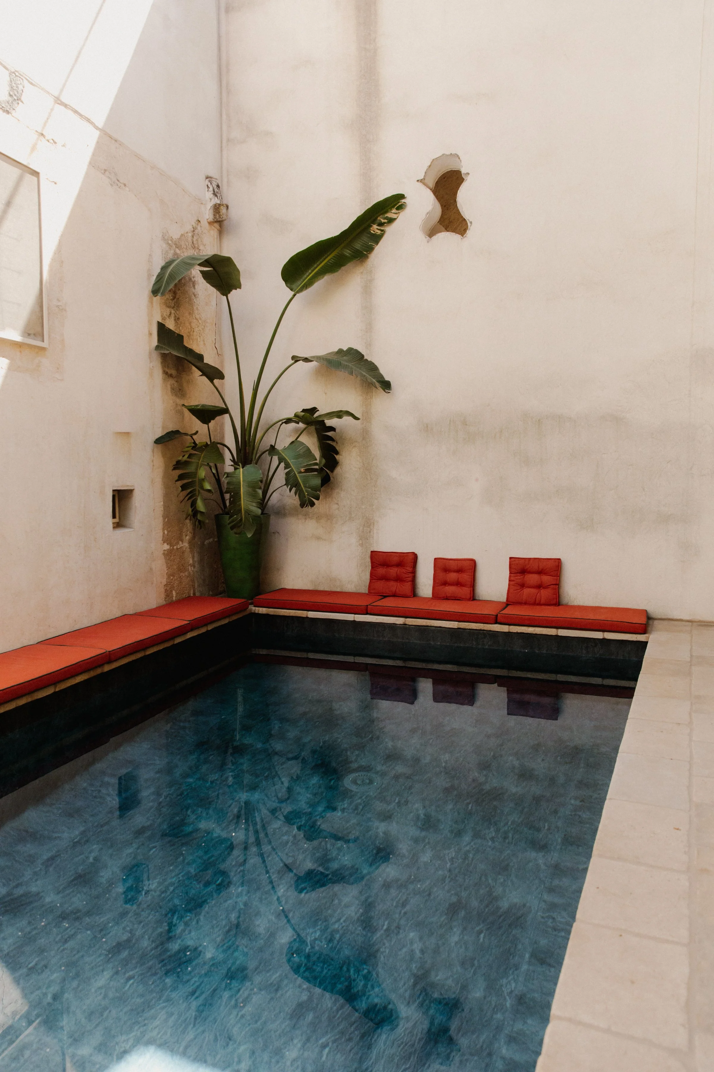 BRITNEY-GILL-PHOTOGRAPHY_CASA-A-CORTE_11.jpeg
