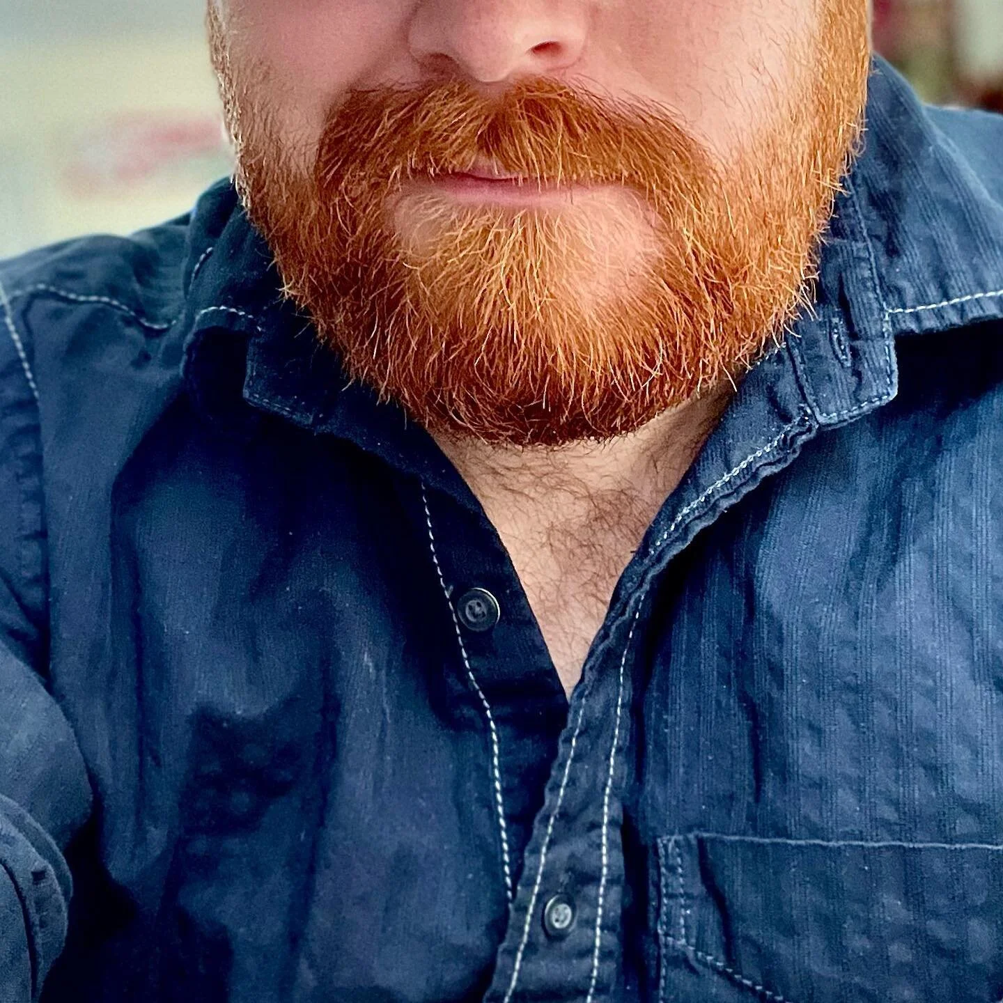 Beard selfie.

#beard_mania #beard_class #beard #instagay #gayboy #gaymen #writersofinstagram #writingcommunity #writing #writinginspiration
