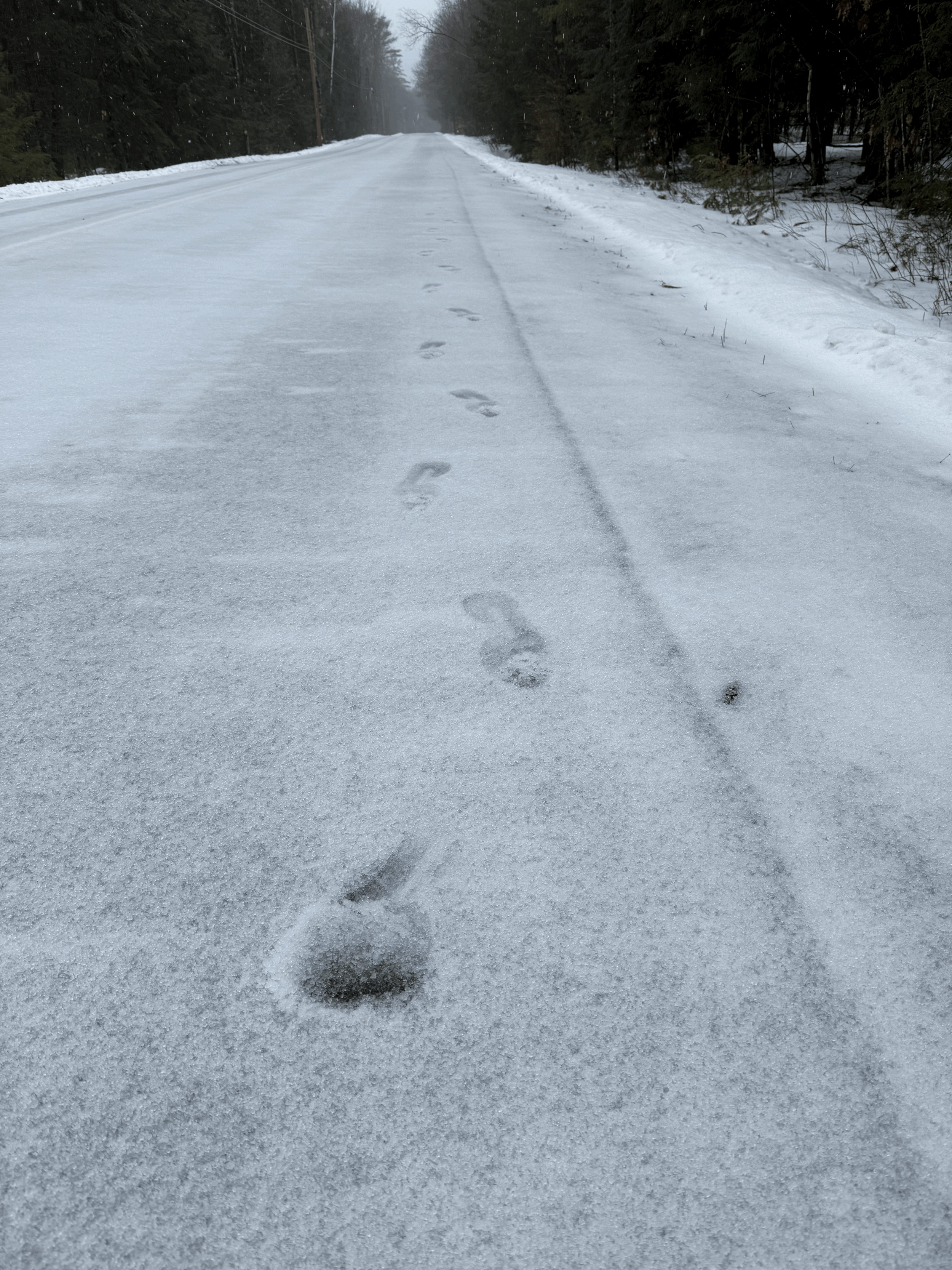 I’m Walkin’ Here!