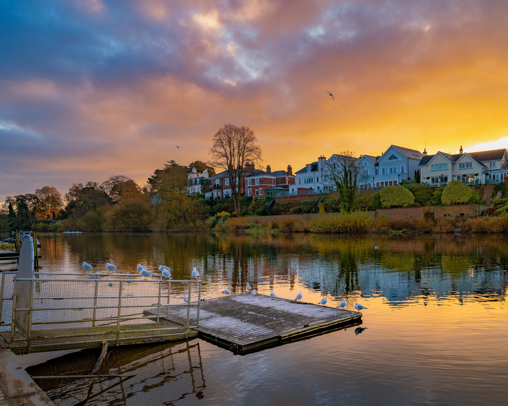 chester new 6.jpg