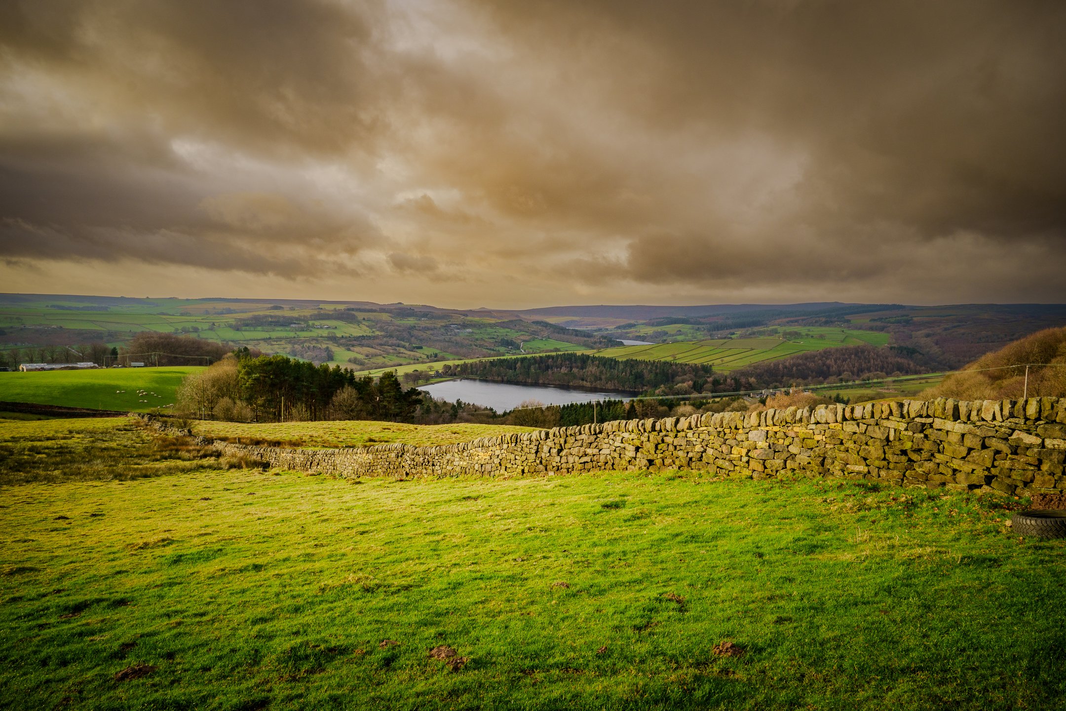 Bradfield 28.12.23 edit.jpg