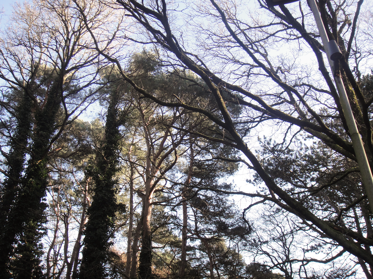DSC03647.png