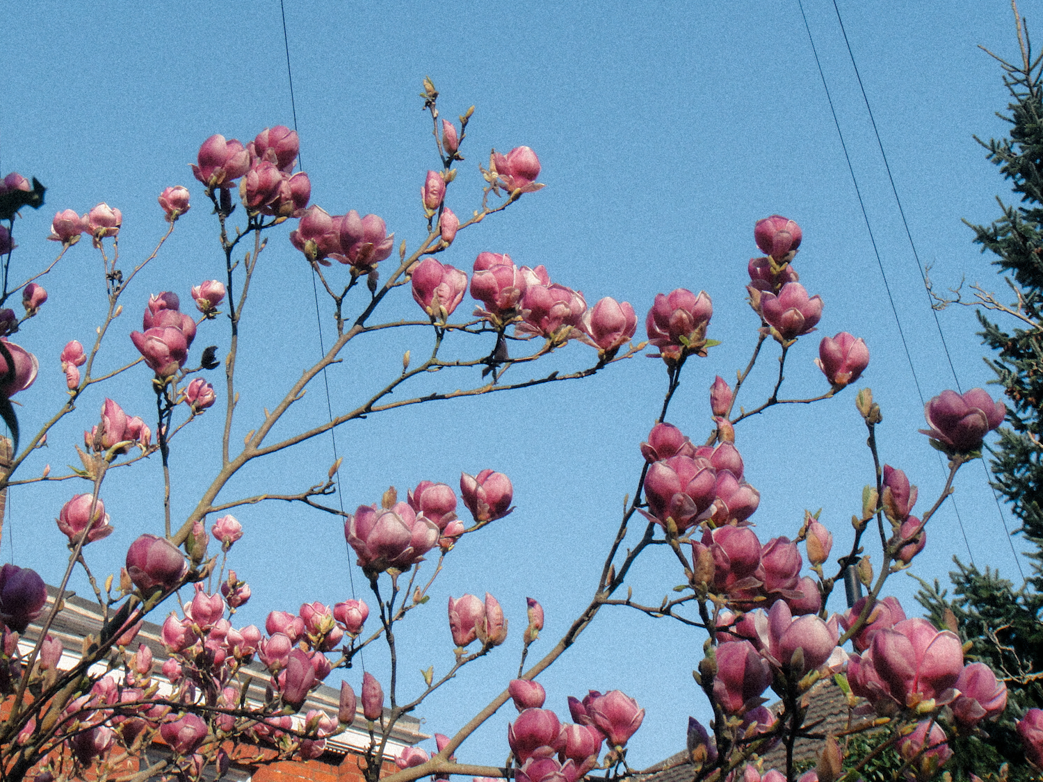 DSC03883.png