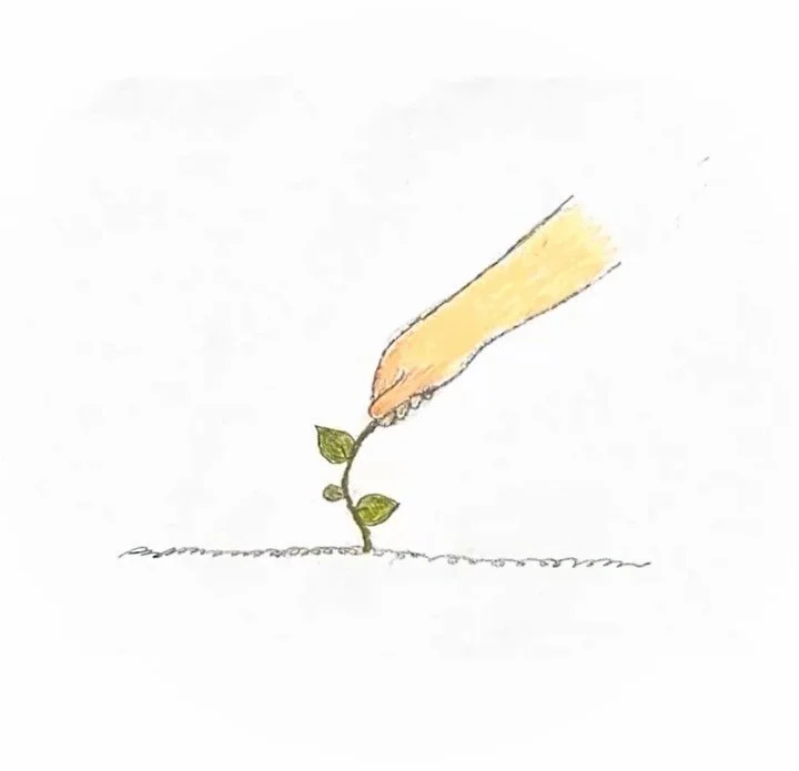 bindweed seems to be the only thing in our garden surviving the heatwave
experimenting with frame by frame animation, pencil and pastel on printer paper