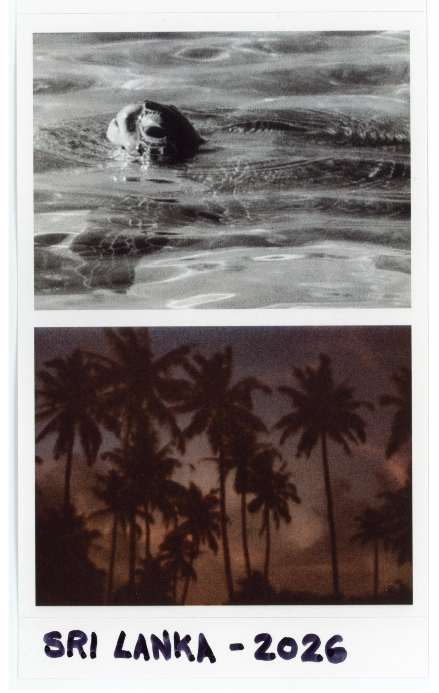 SCRL_0028.png
