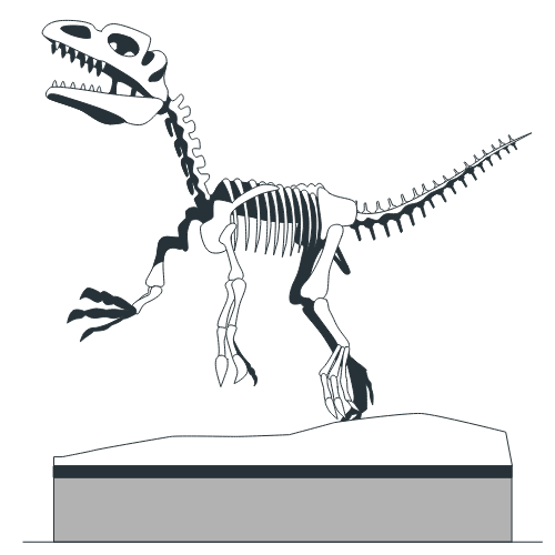 Illustration of a dinosaur skeleton displayed on a platform.