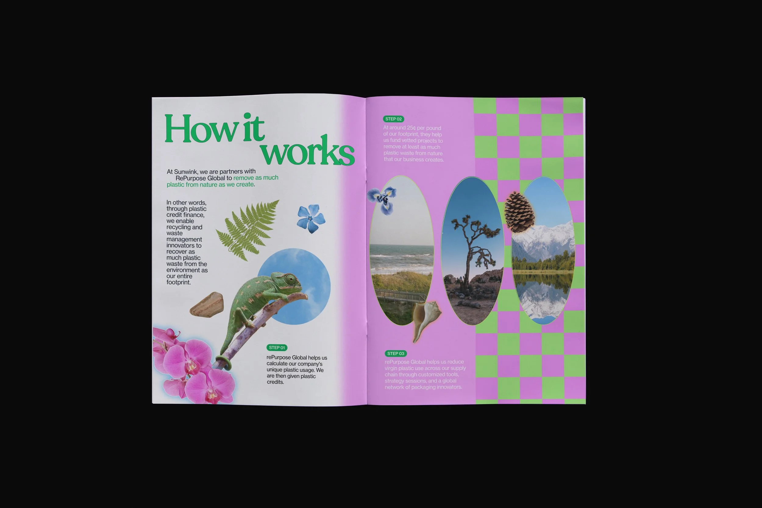 Open magazine page titled "How it works" with images of nature, including a fern, flowers, a chameleon, a beach, a tree, mountains, and pine cones, with green and purple checkered background.