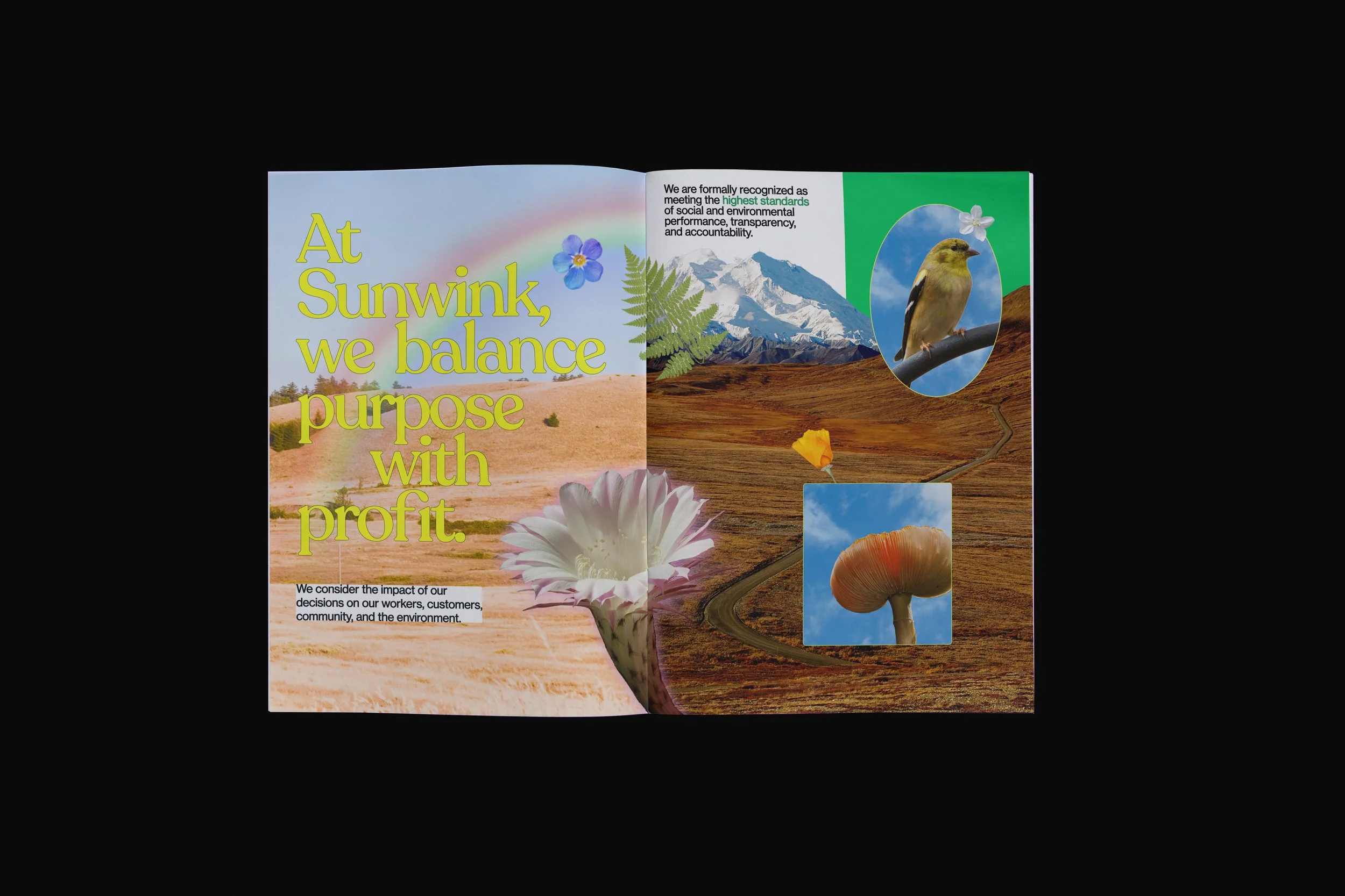 Open magazine with a colorful landscape and nature images, including a rainbow, flowers, a bird, mountains, and mushrooms. Text highlights environmental and social sustainability topics.