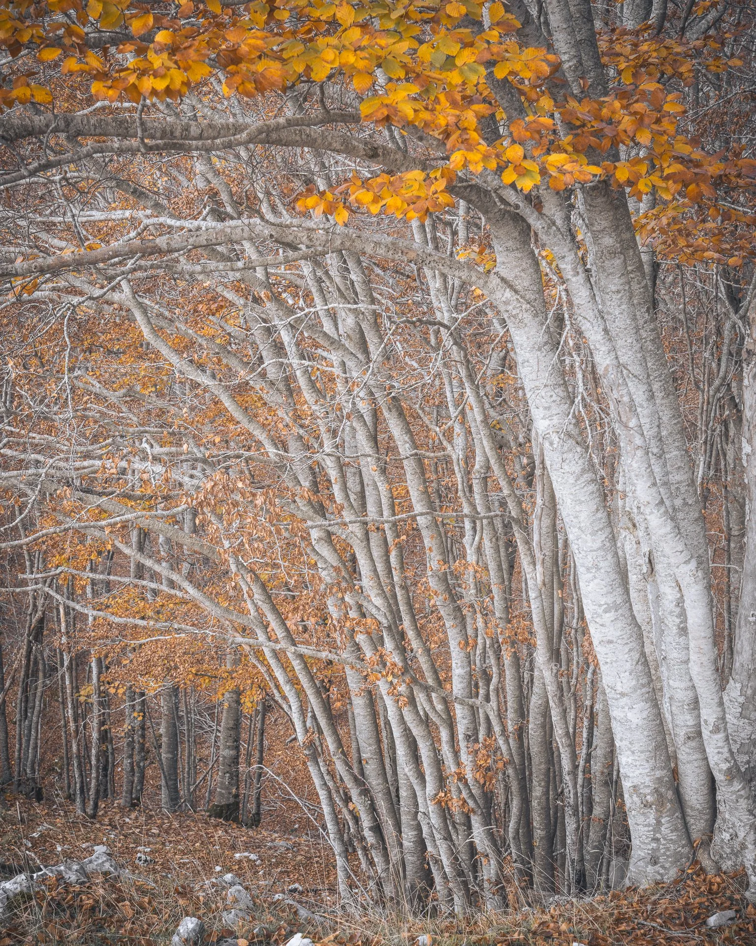 CN_06860.jpg
