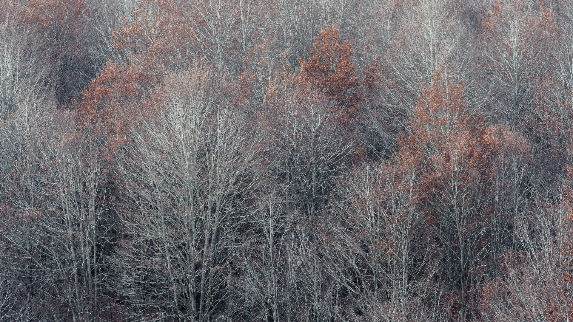CN_06877.jpg