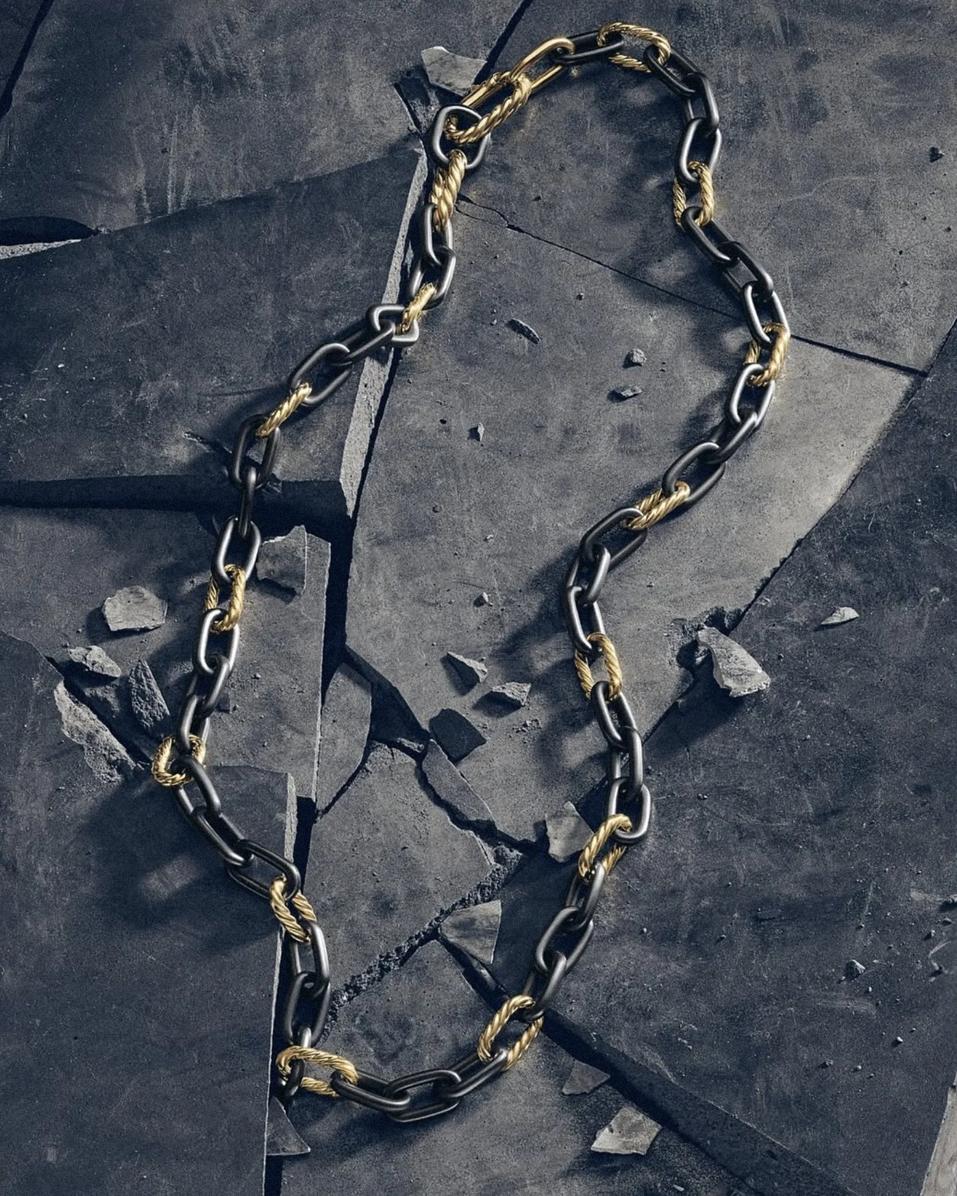 DYnew1.jpg
