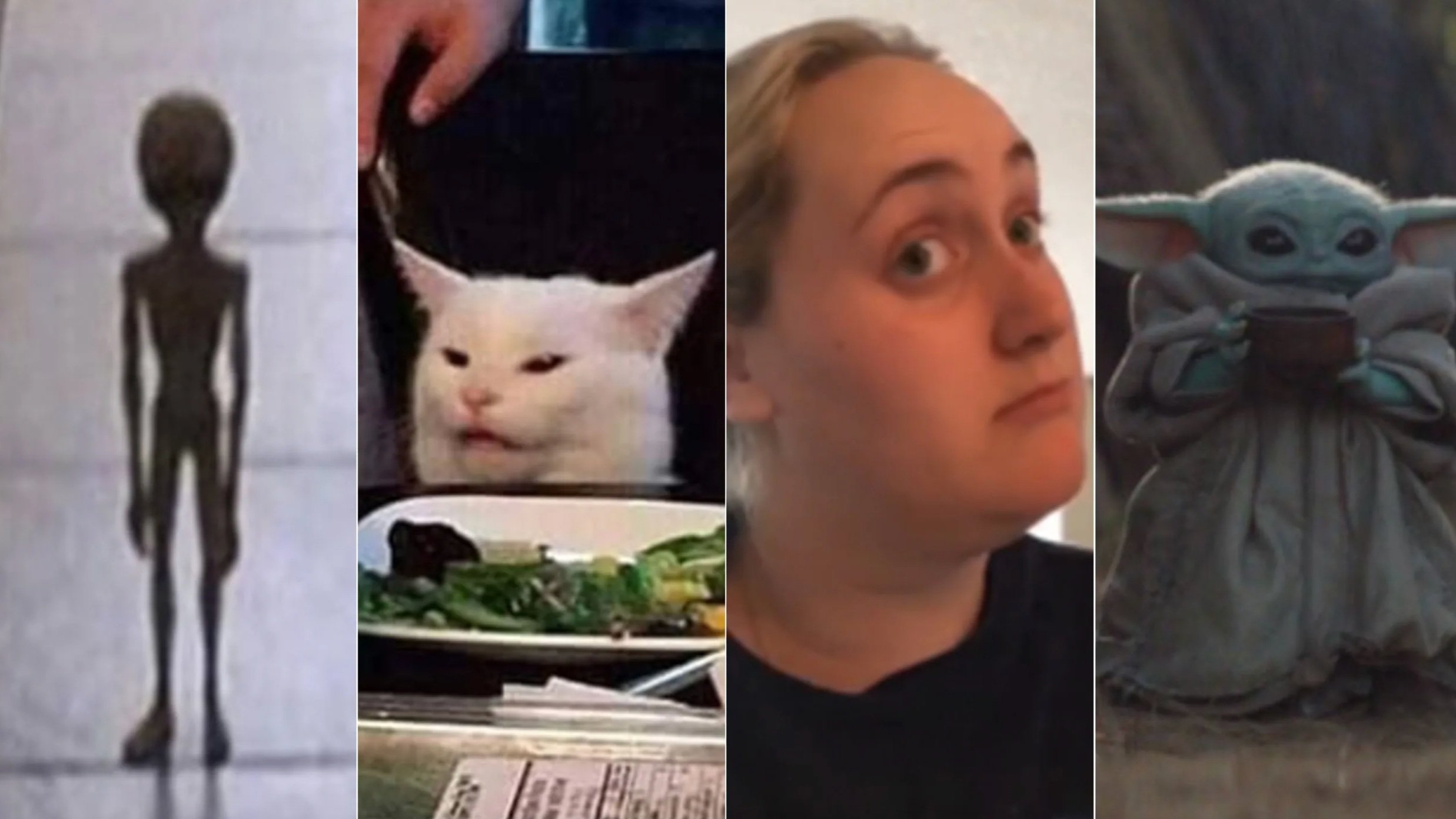 15 memes that defined 2019 | Mashable