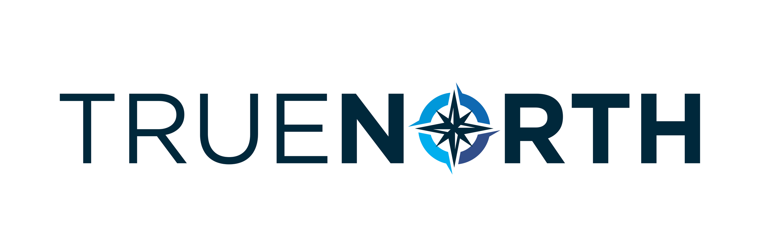 The True North Foundation From Vision to Impact