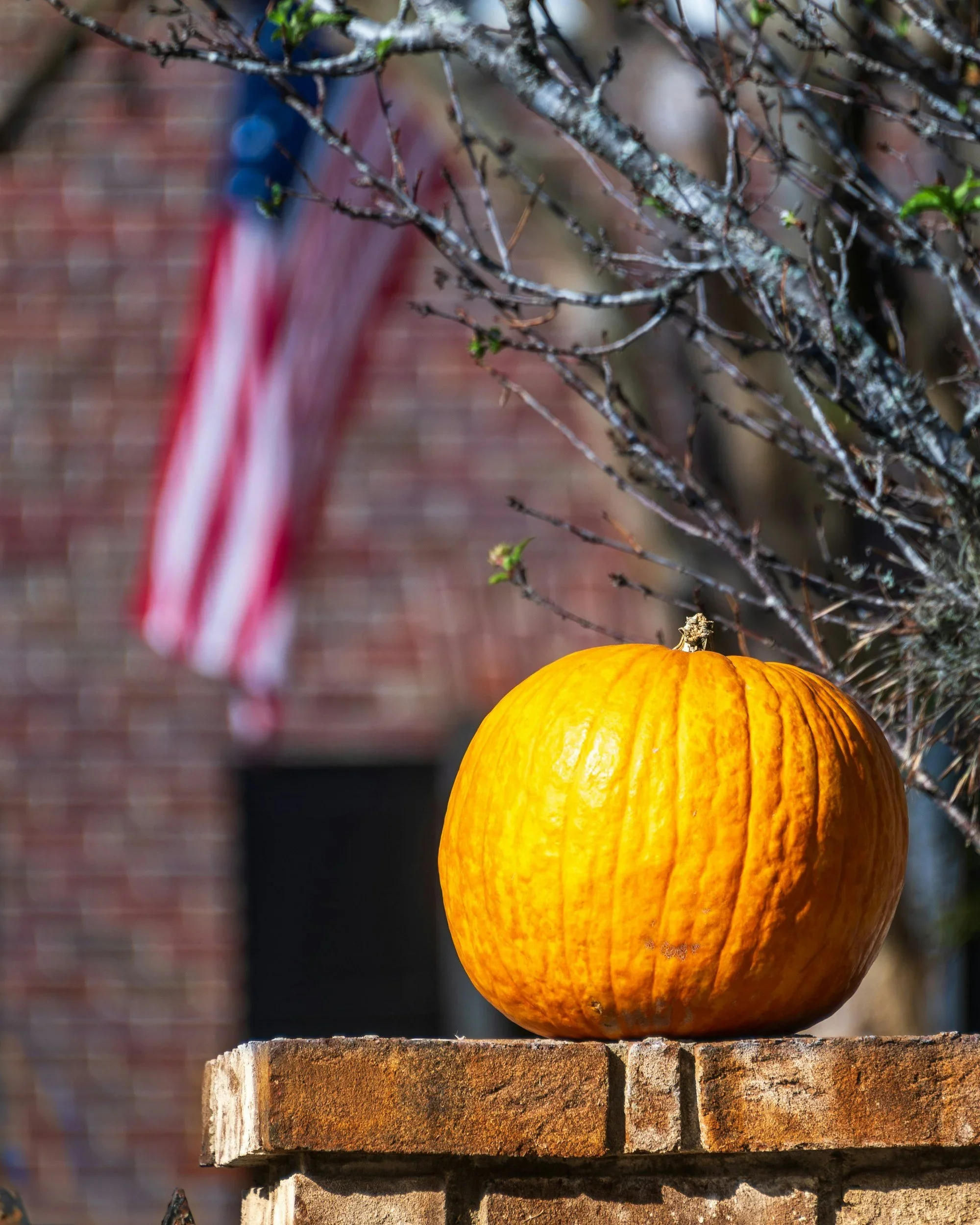 A Fall Full of Purpose: Upcoming Events Across the True North Community