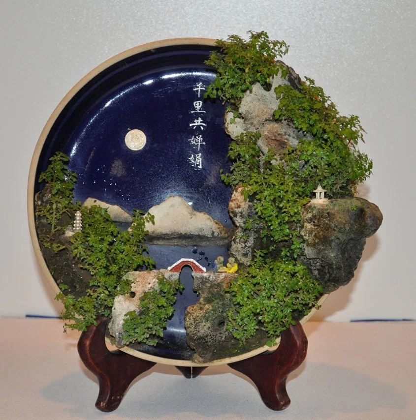 res Tay Kock Wah  郑国华 Plate Landscaping 山水盆景千里共婵娟DSC_0271.JPG