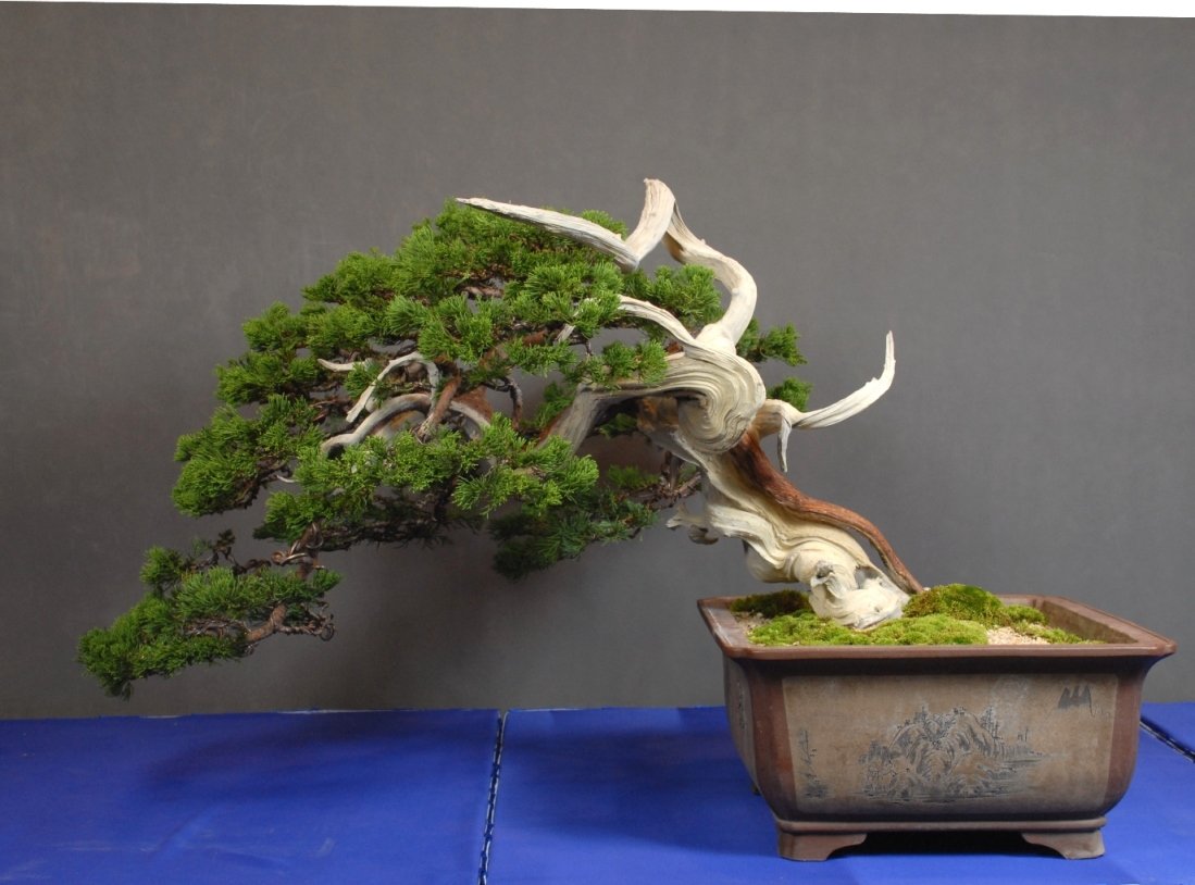 Penjing (2)res .jpg