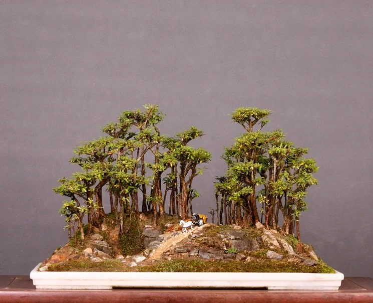 Landscape Penjing (3).JPG