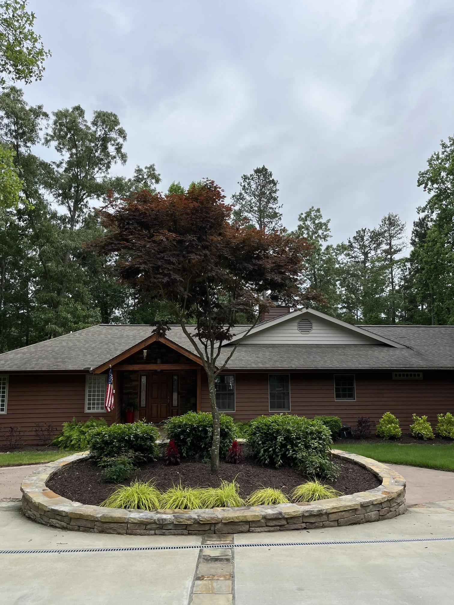 Specimen Japanese Maple inside circular driveway at residential  home