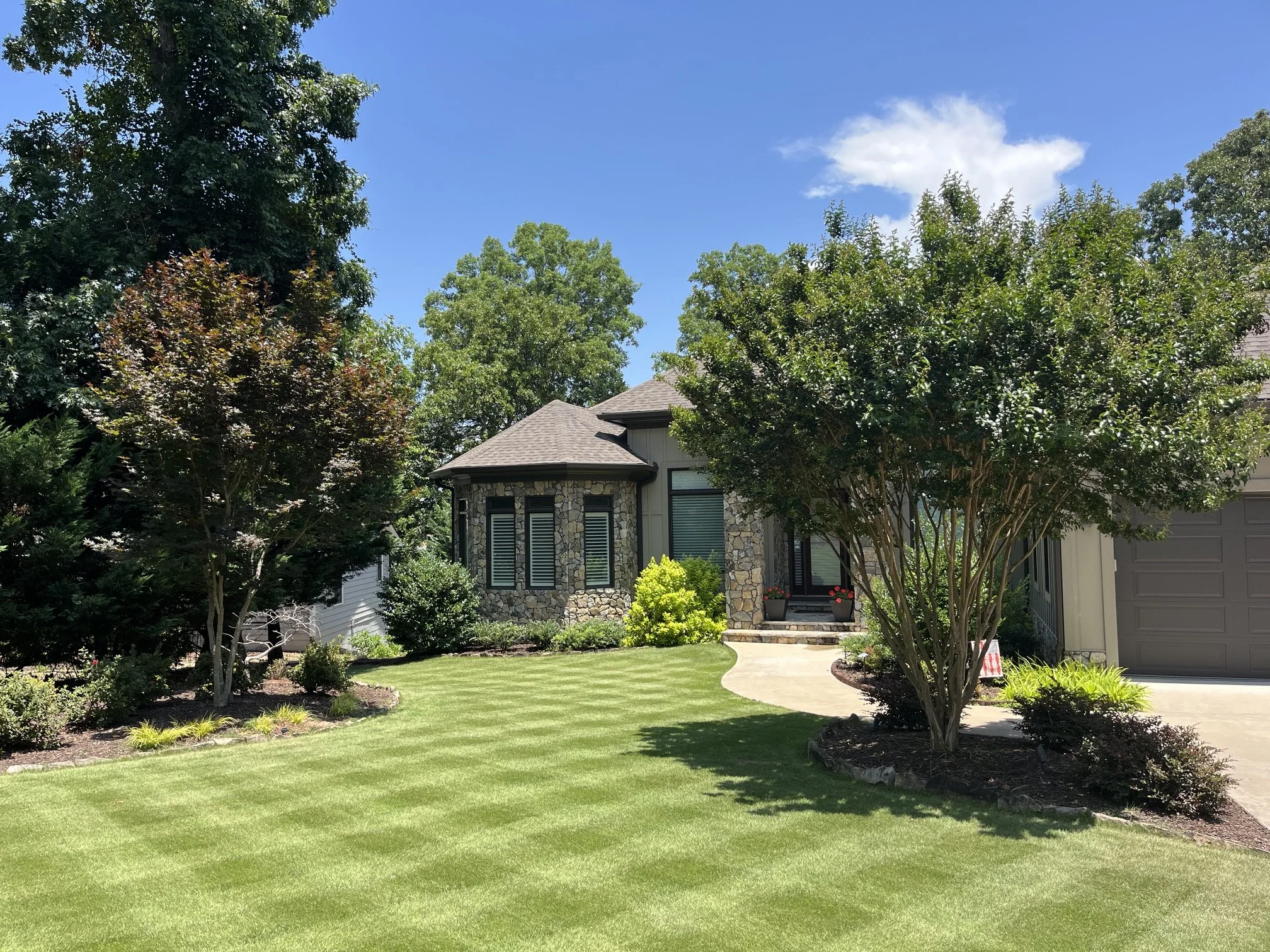 Finished planting with specimen tree and companion shrubs