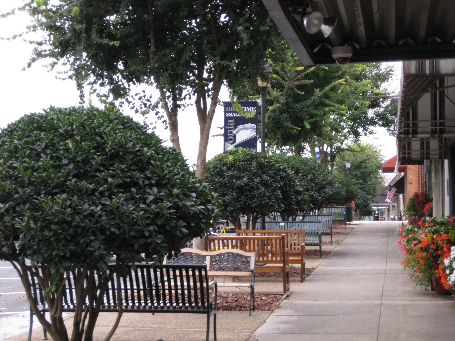 Layered use of Specimen trees installation in municipal setting