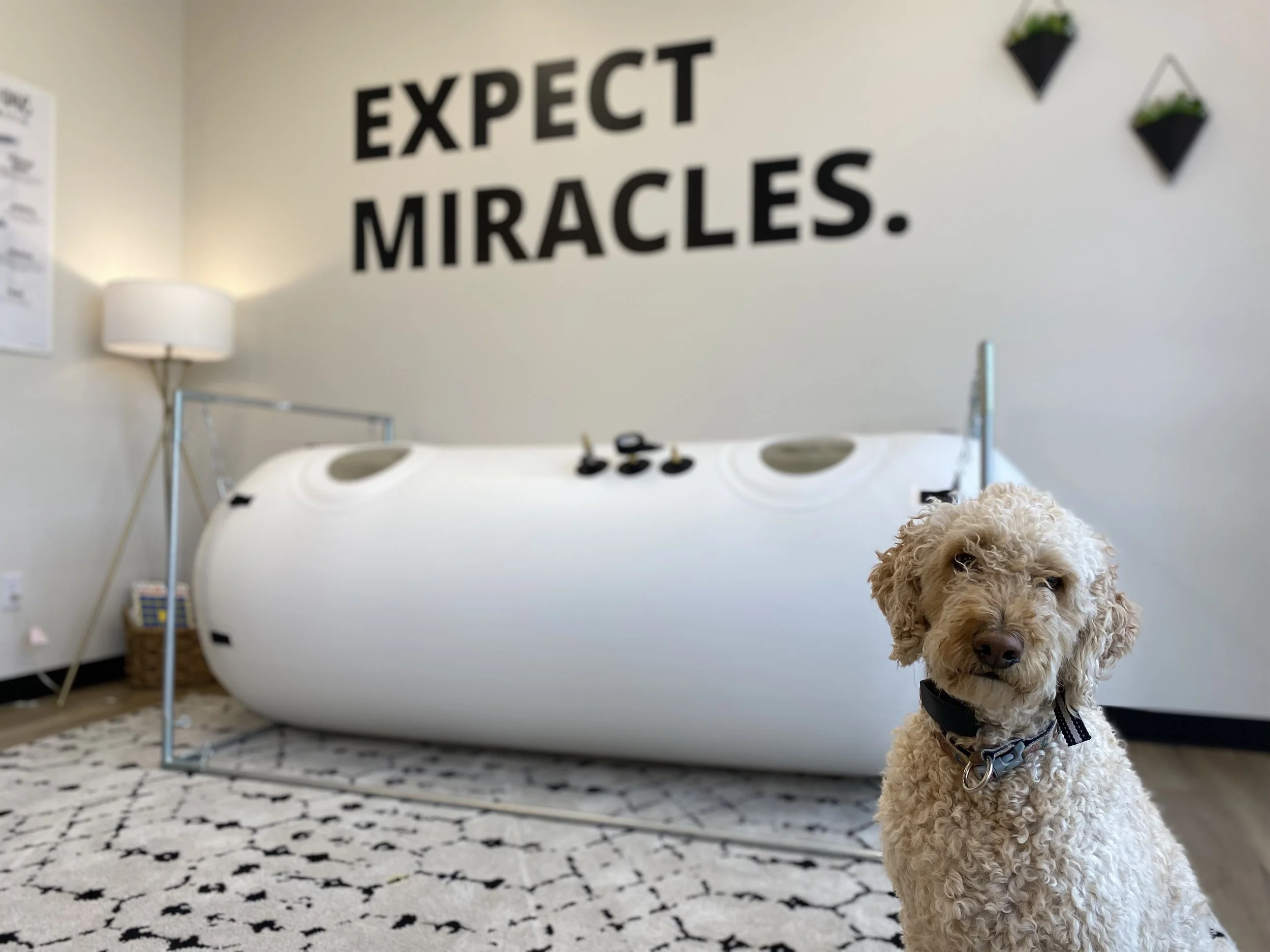 Hyperbaric oxygen therapy in Des Moines