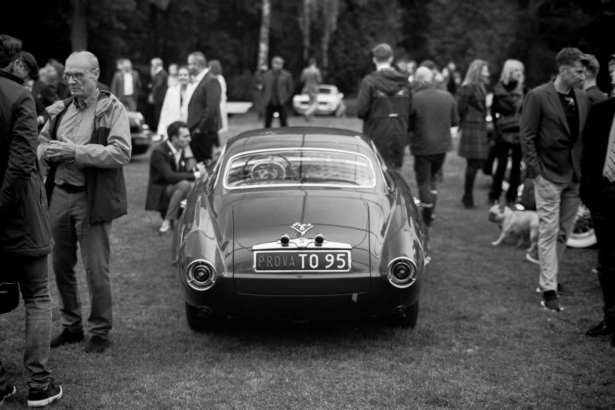 Konkurs Elegancji 2022