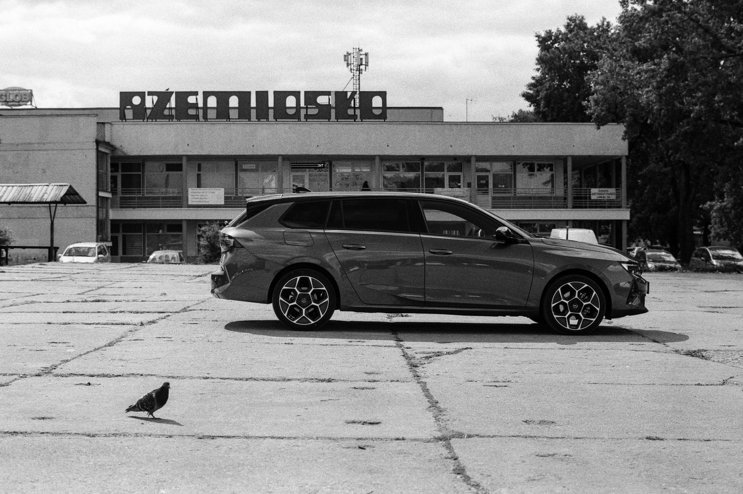 The Grey Astra