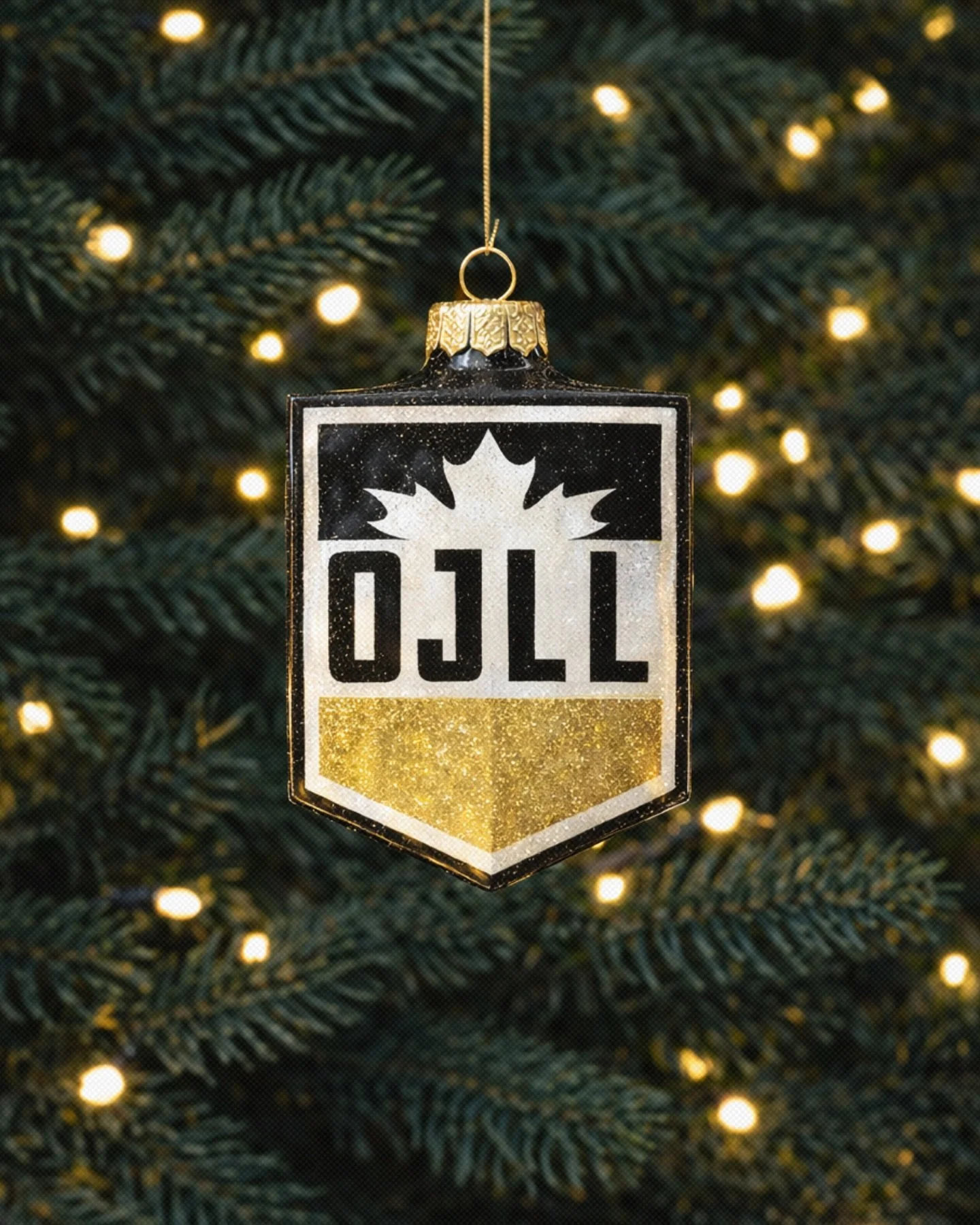 We wish you a Merry Christmas 🎄✨

Wishing our players, coaches, officials, volunteers, and fans a joyful holiday season and a bright New Year.