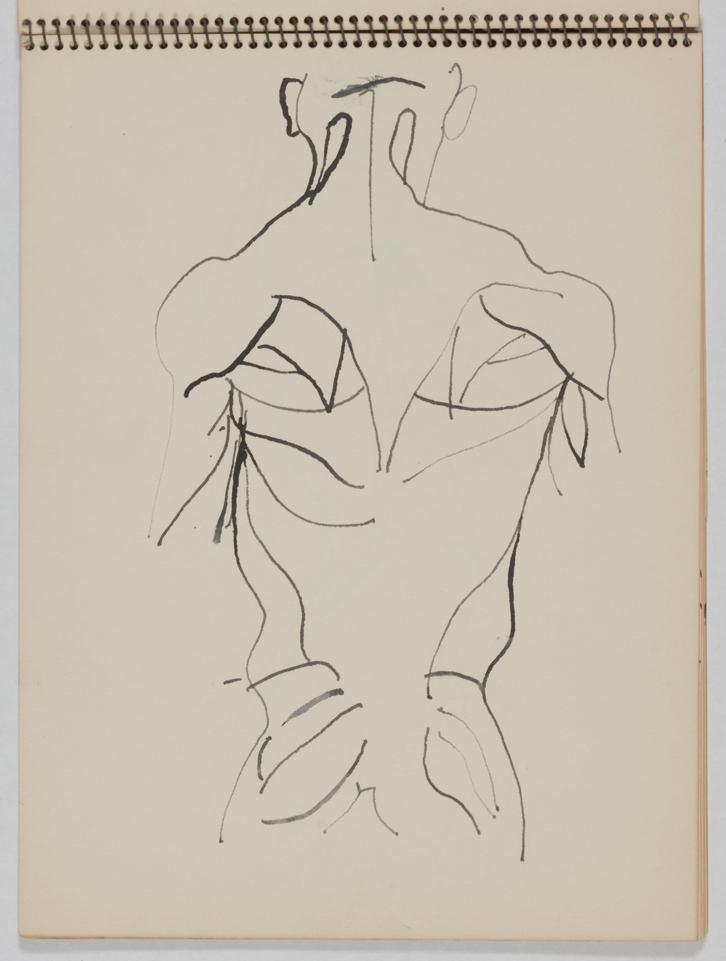 Untitled (drawing from model stand), 1957, pencil on newsprint, 9 x 11.75 inches
